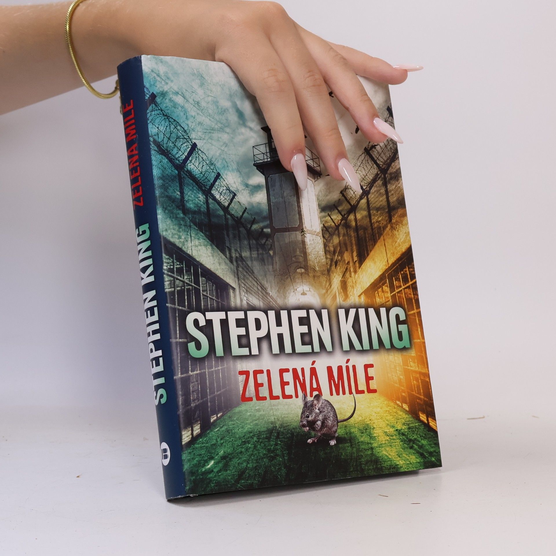 Stephen King Zelená míle