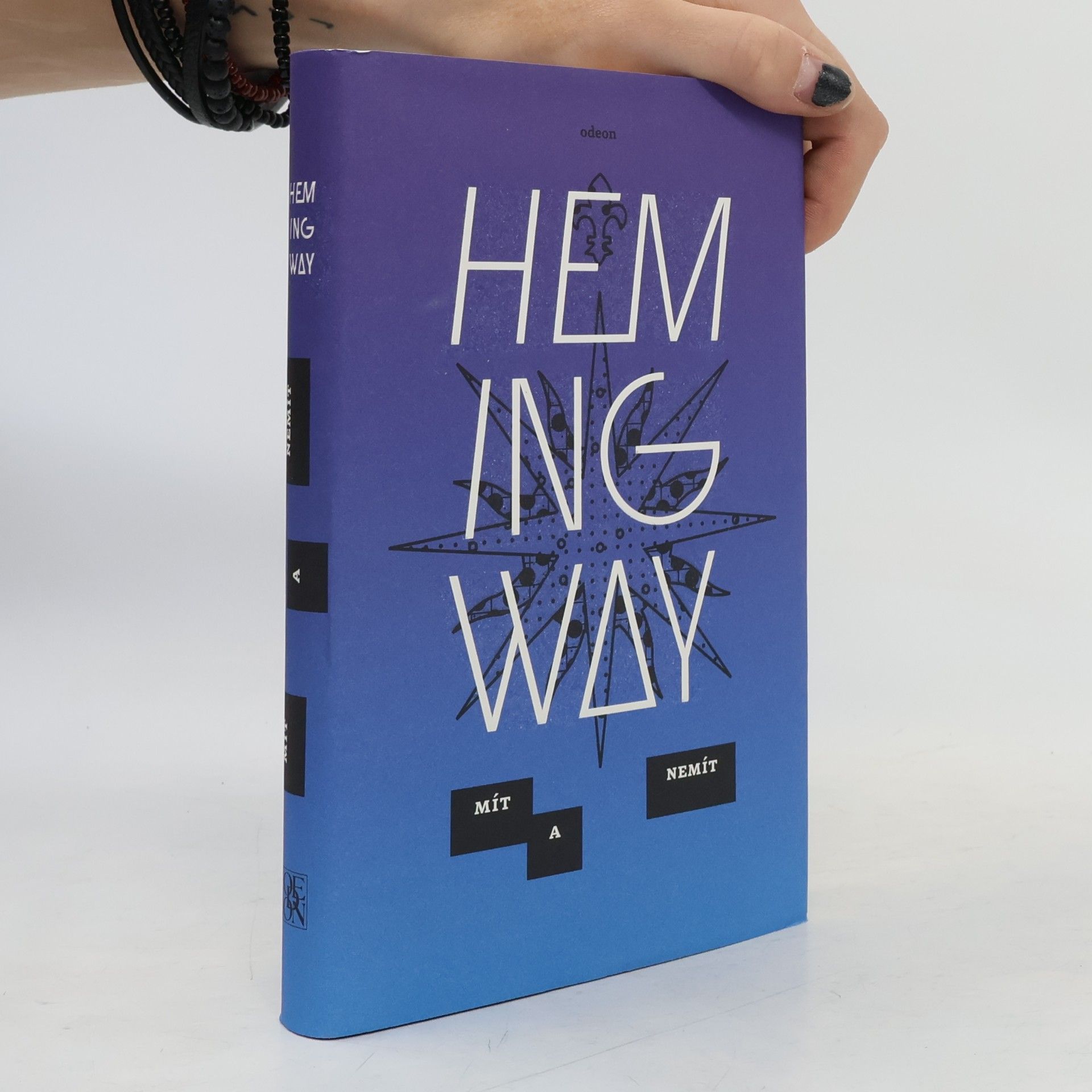 Ernest Hemingway Mít a nemít