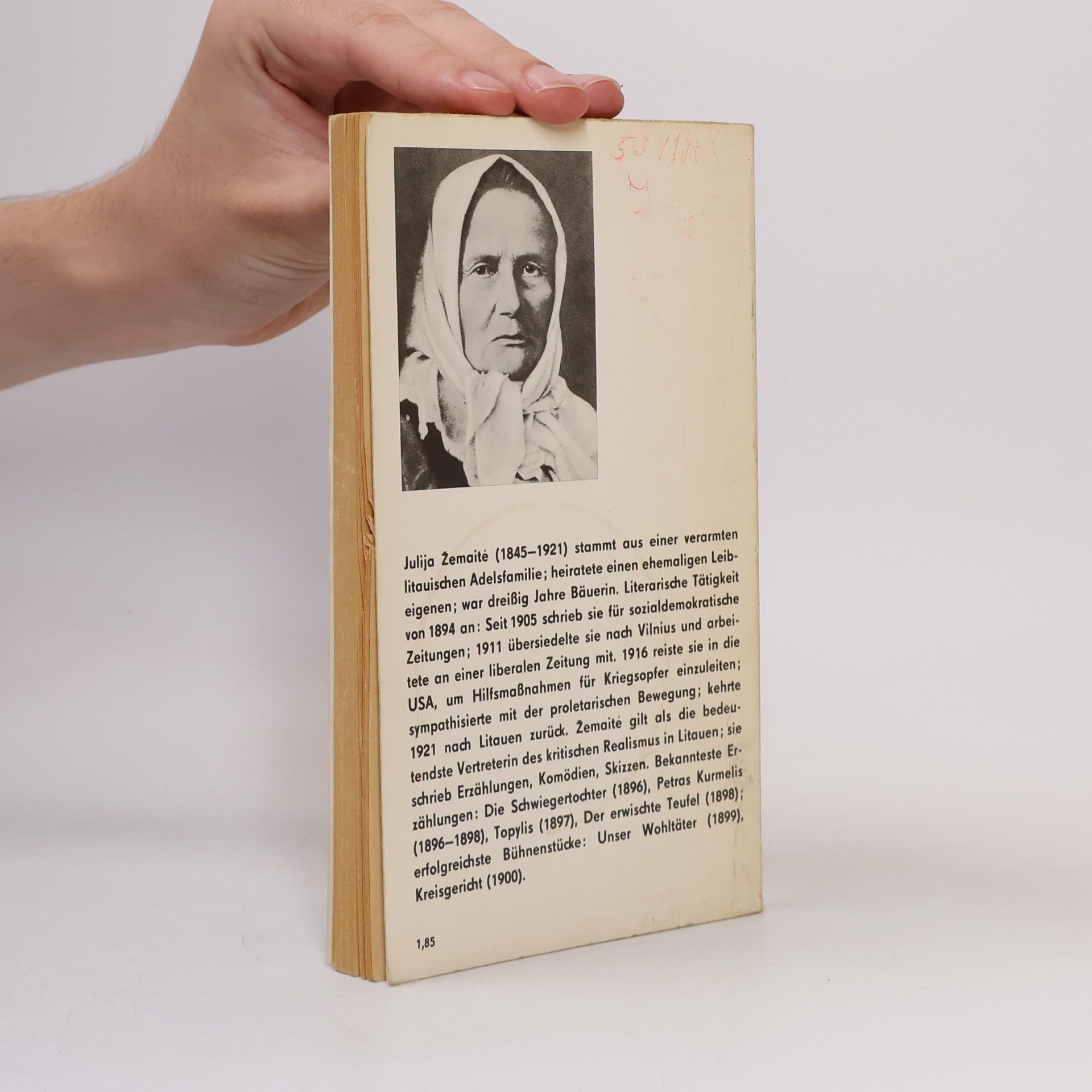 Julija Žemaite Die Schwiegertochter