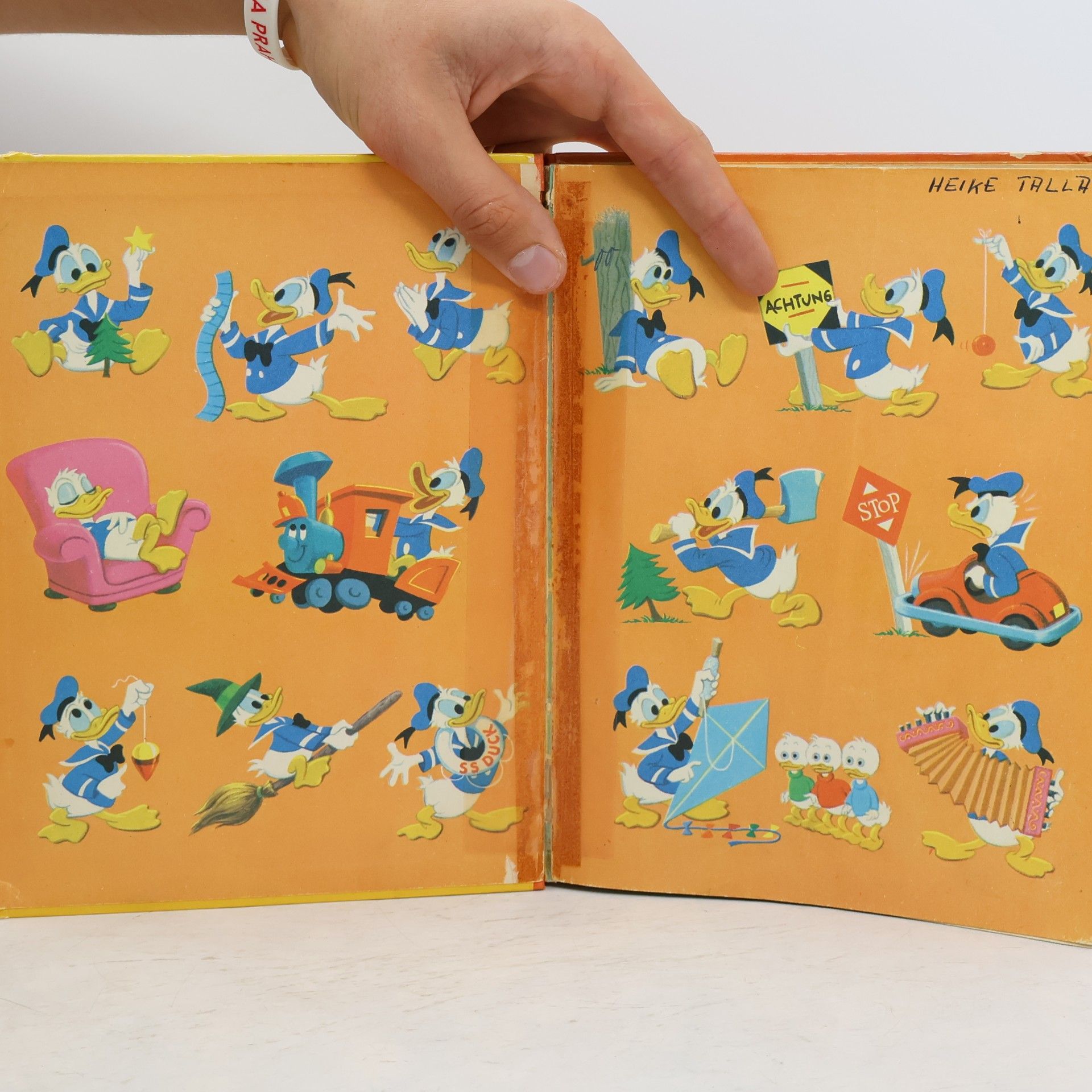 Walt Disney Das große Donald Duck- Buch