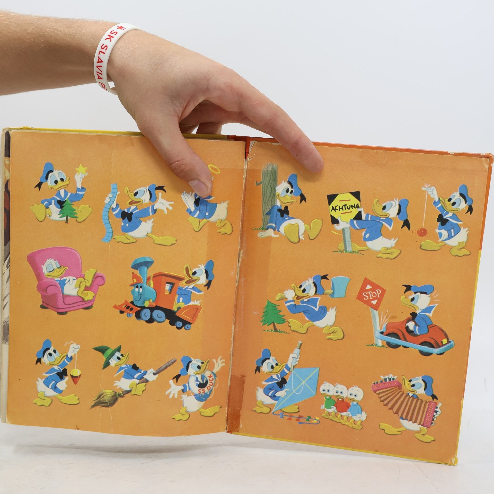 Walt Disney Das große Donald Duck- Buch