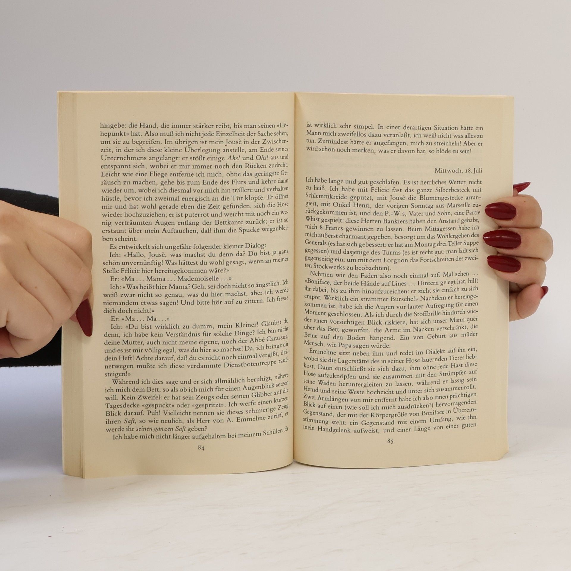 Agnès de S. Mein intimes Tagebuch