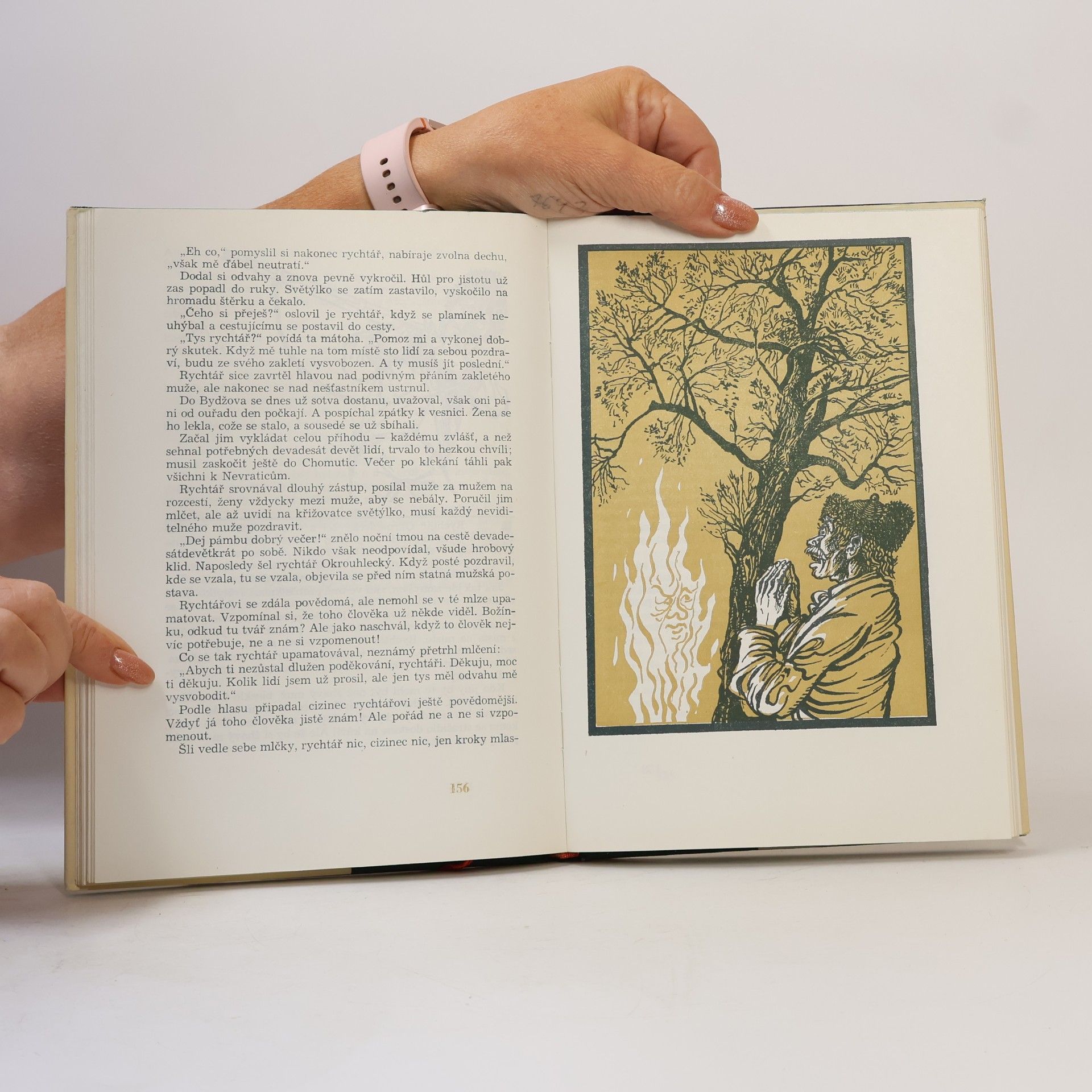 Václav Horyna Perly mezi kamením