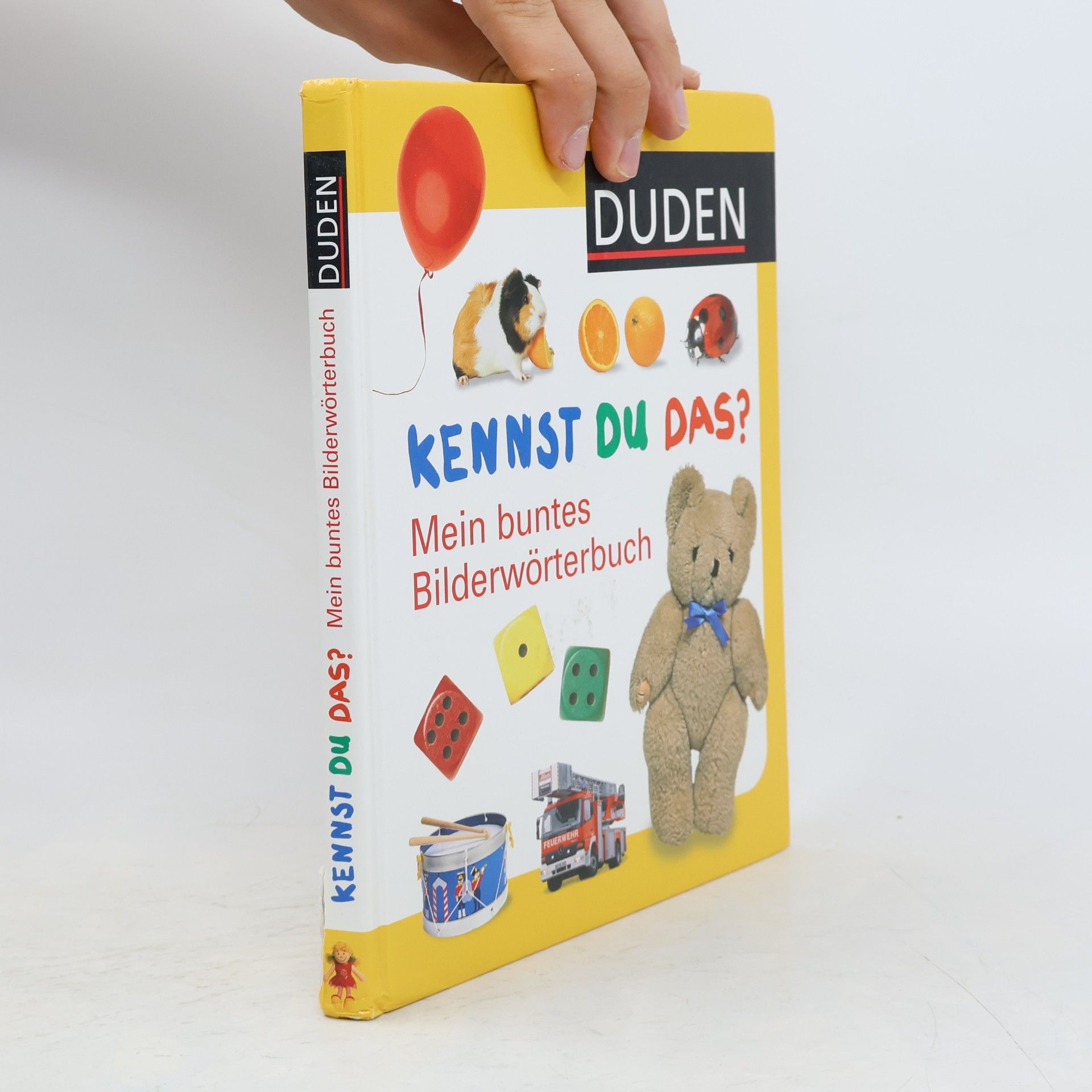 Angelika Sust Mein buntes Bilderwörterbuch