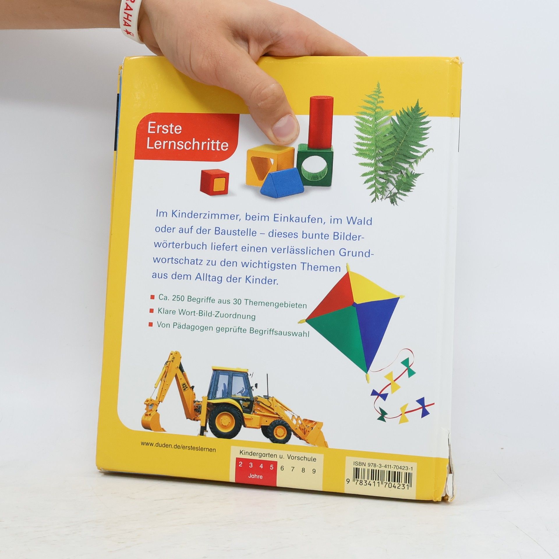 Angelika Sust Mein buntes Bilderwörterbuch