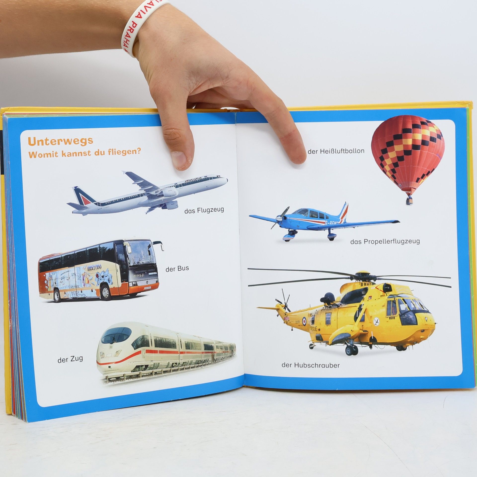 Angelika Sust Mein buntes Bilderwörterbuch