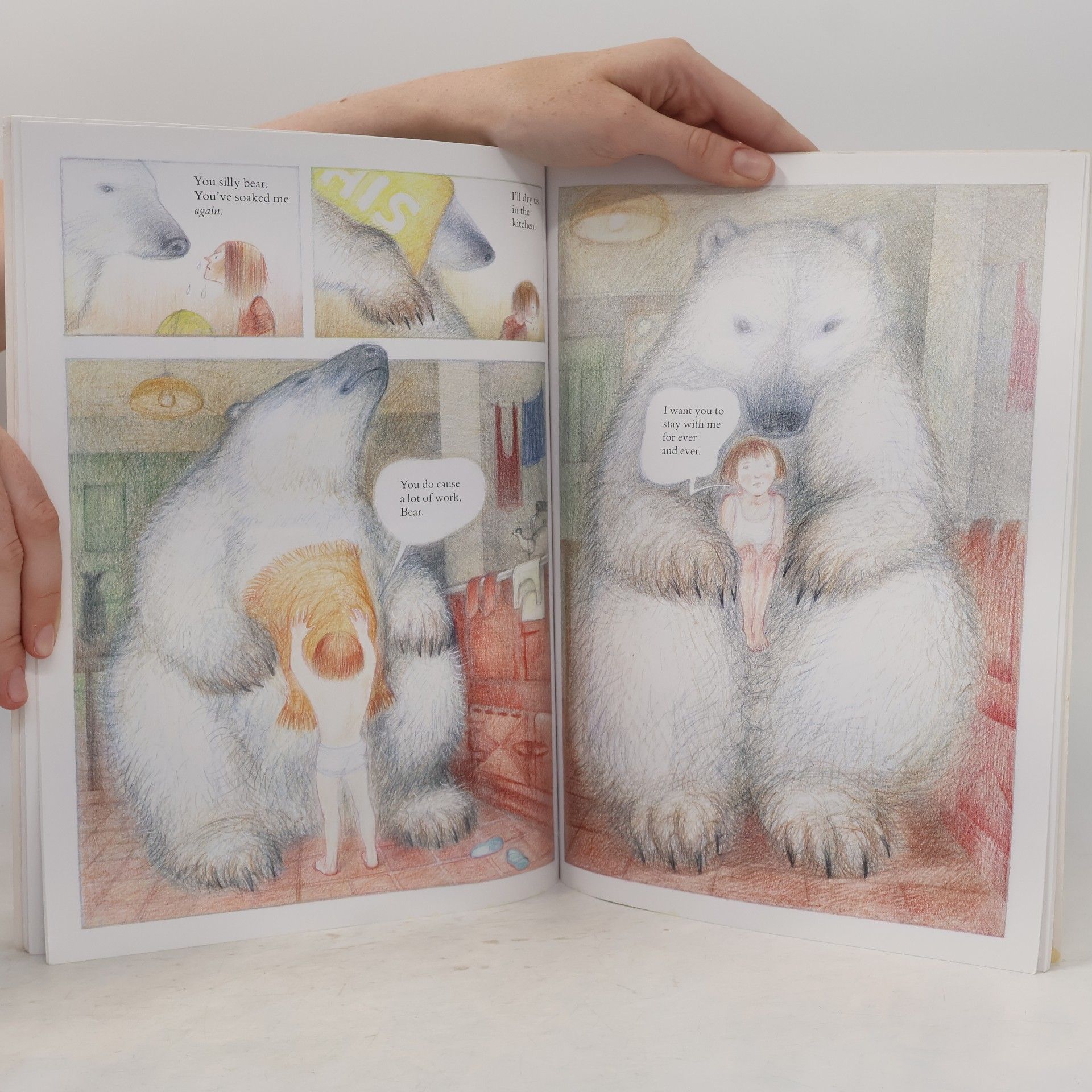 Raymond Briggs Red Fox Picture Book: The Bear