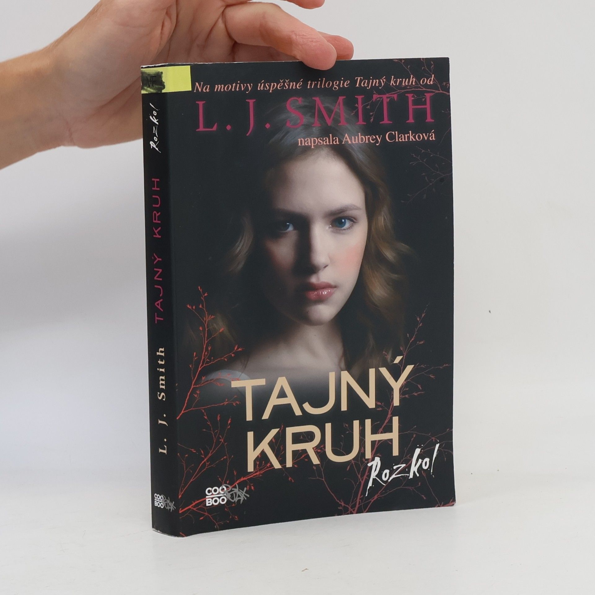 L. J. Smithová  Tajný kruh. Rozkol