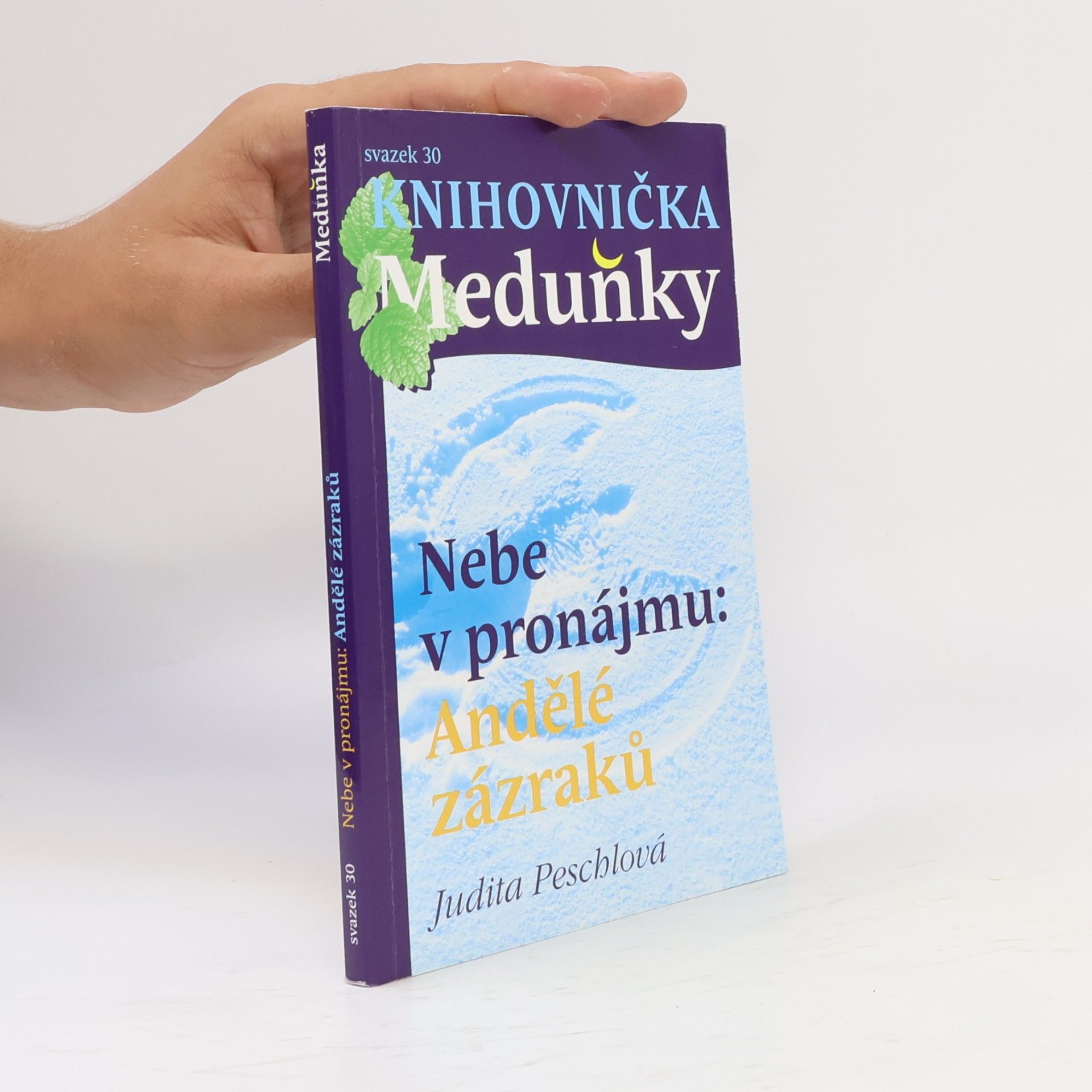 Judita Peschlová Nebe v pronájmu. Andělé zázraků