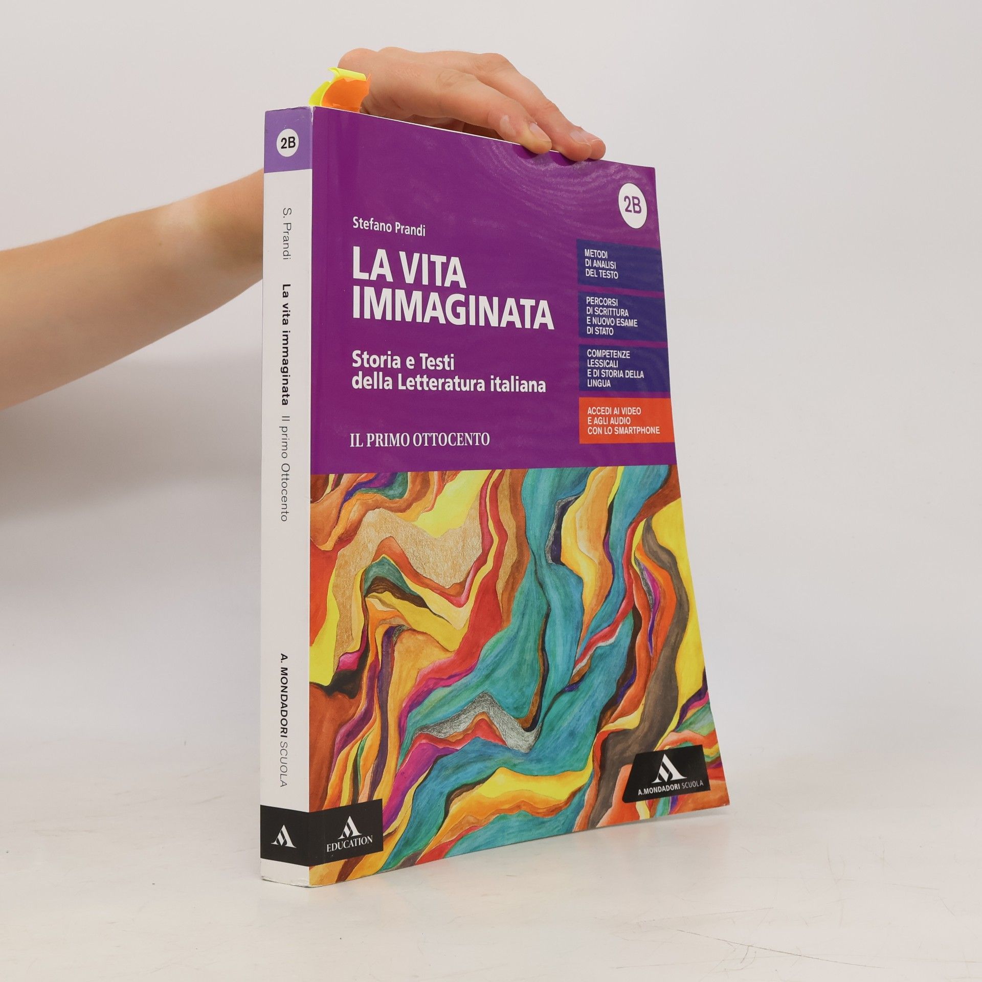 Stefano Prandi La vita immaginata