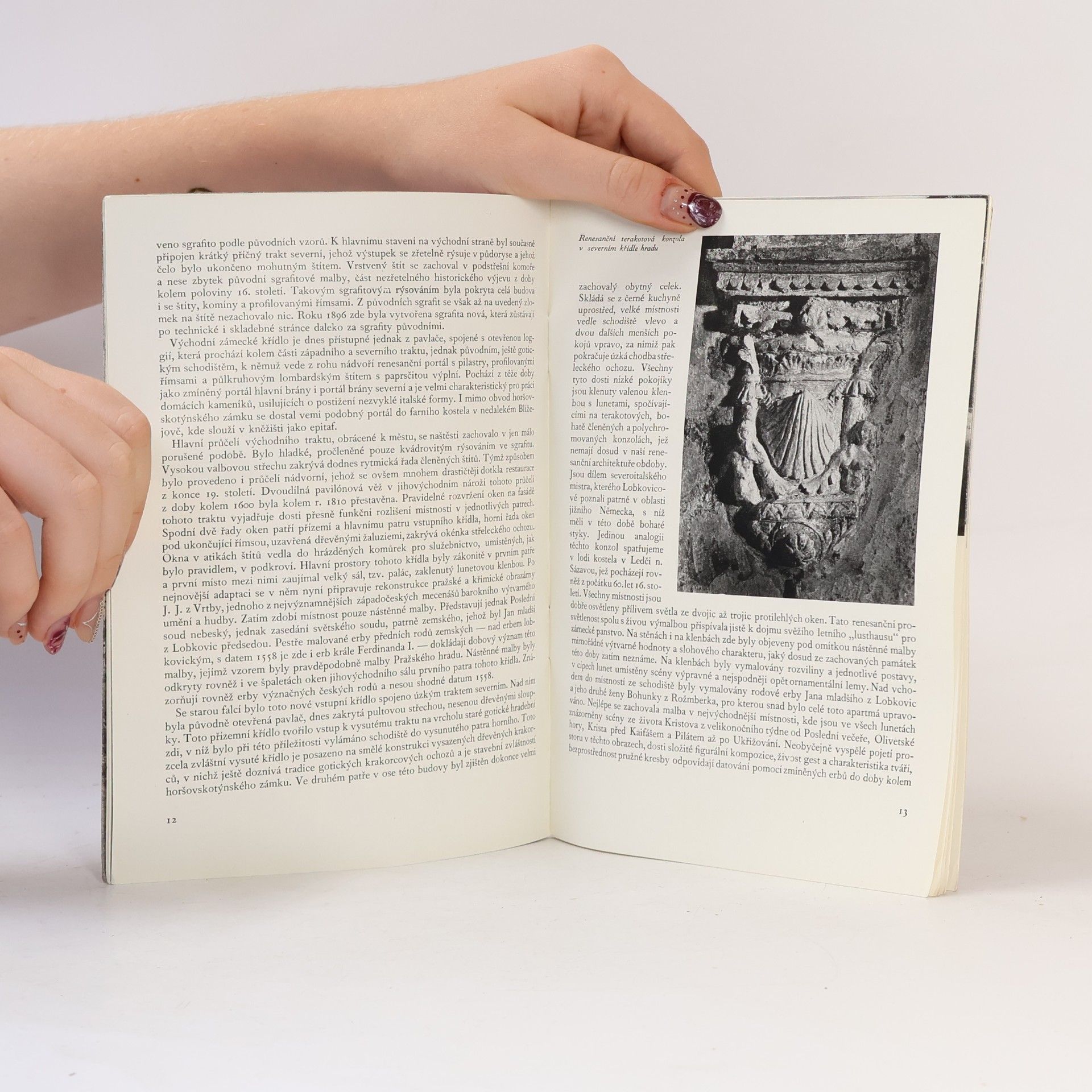 Autorenkollektiv Horšovský Týn: Státní zámek, městská památková rezervace a památky v okolí