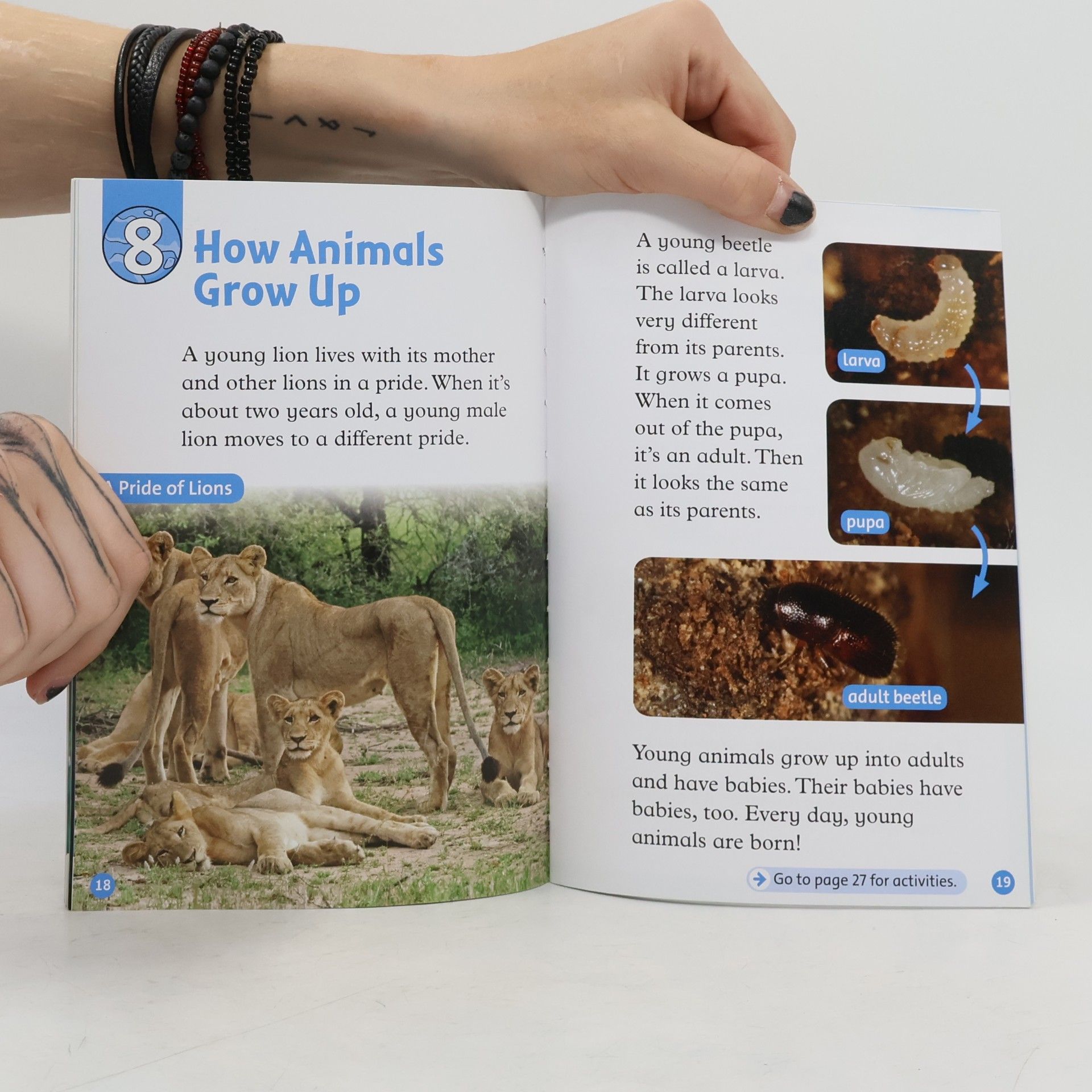 Autorenkollektiv Oxford Read and Discover: Level 1: Young Animals