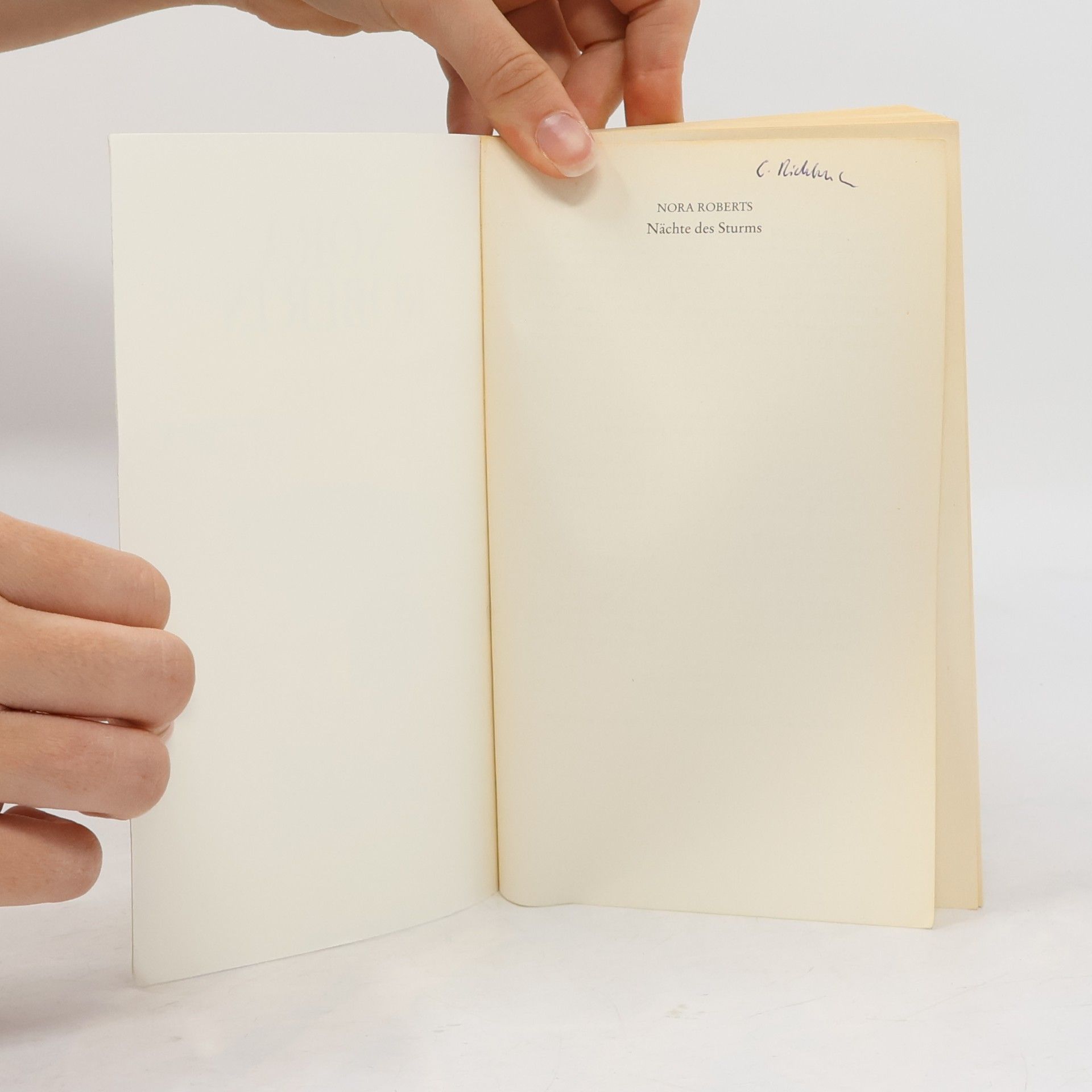 Nora Roberts Nächte des Sturms