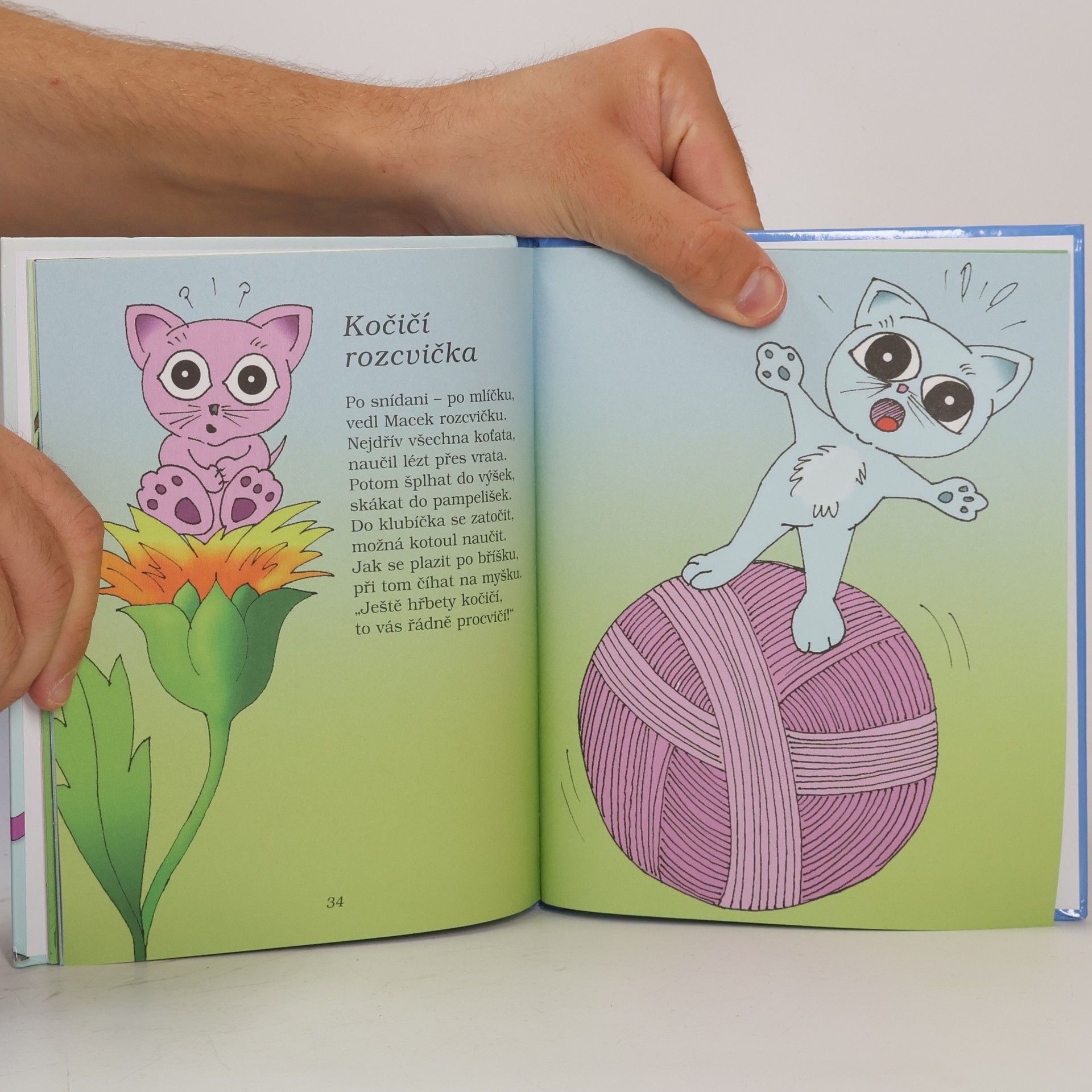 Zdislava Kodešová Zvířátka sportují