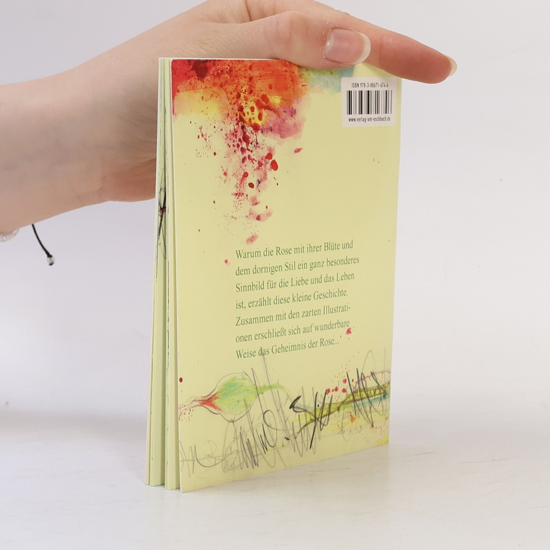 Ulrich Peters Eschbacher Minis: Das Geheimnis der Rose