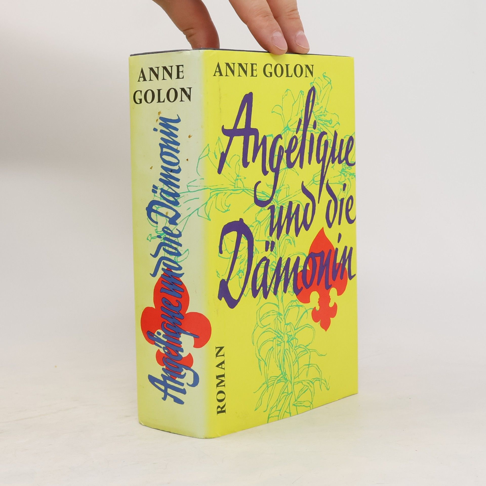 Anne Golon Angélique und die Dämonin