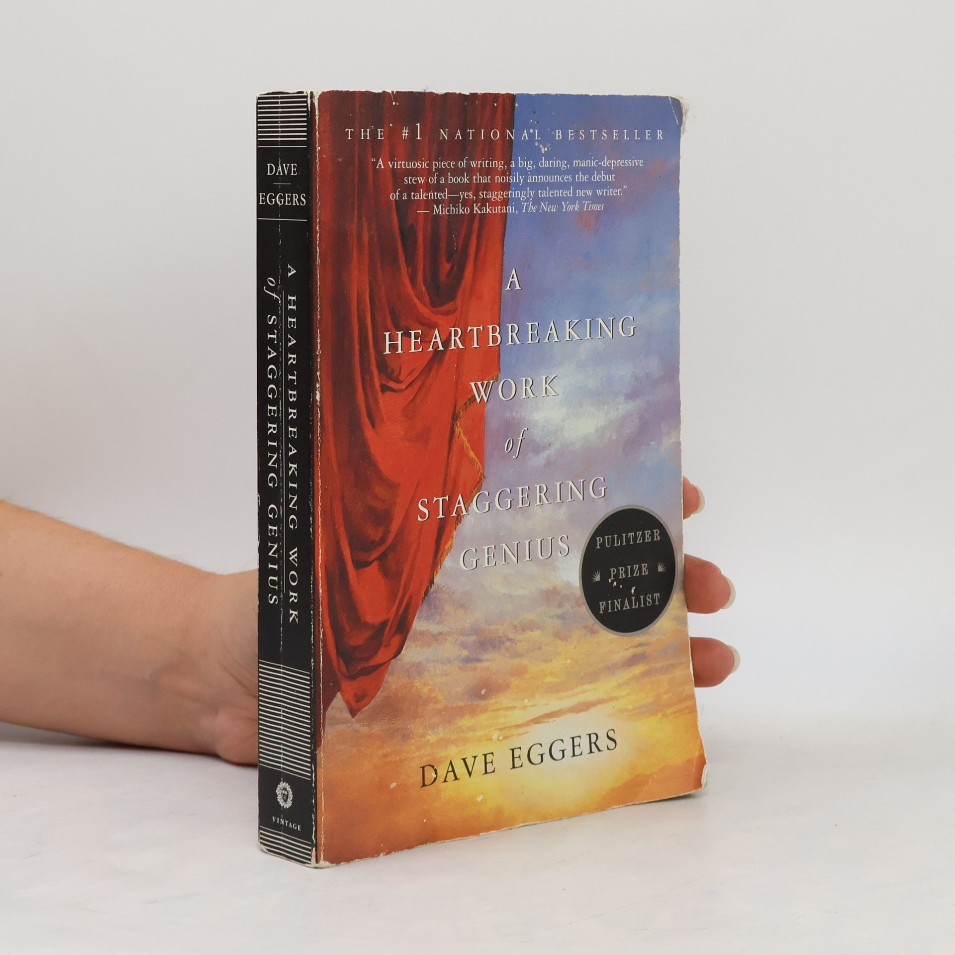Dave Eggers A heartbreaking work of staggering genius