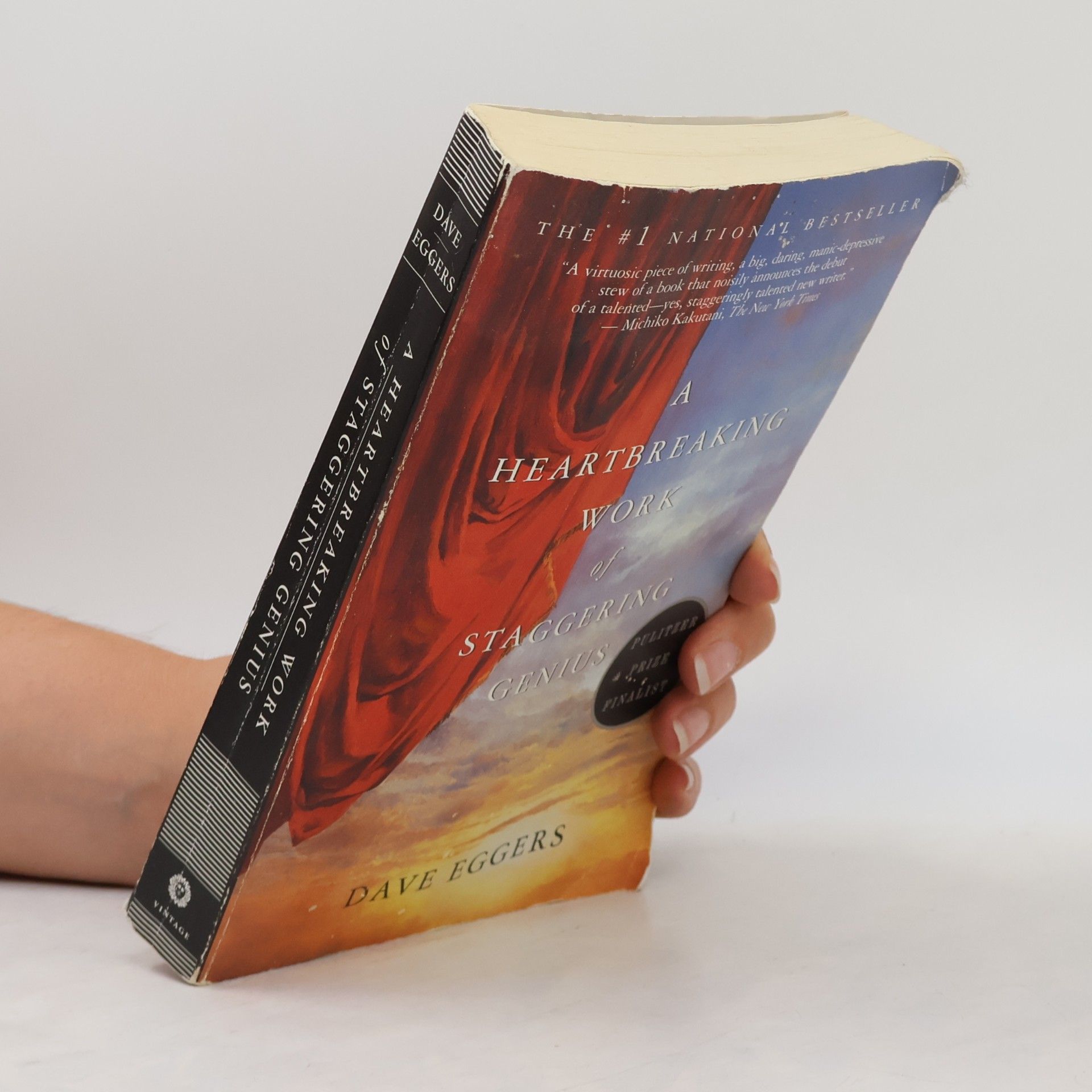 Dave Eggers A heartbreaking work of staggering genius
