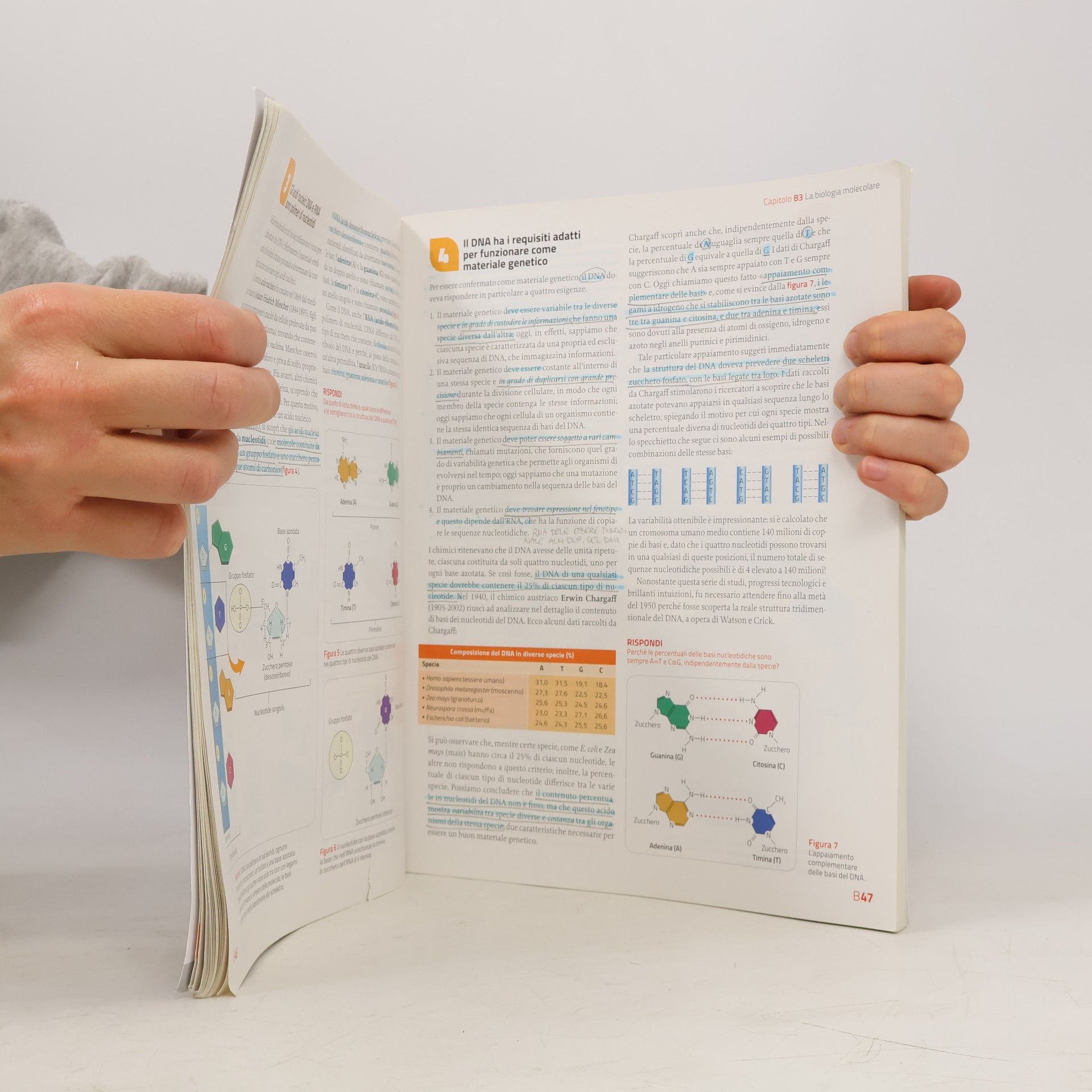 Sylvia S. Mader Immagini e concetti della biologia. Dalla biologia molecolare al corpo umano. Per le scuole superiori. Con contenuto digitale (fornito elettronicamente) - seconda edizione