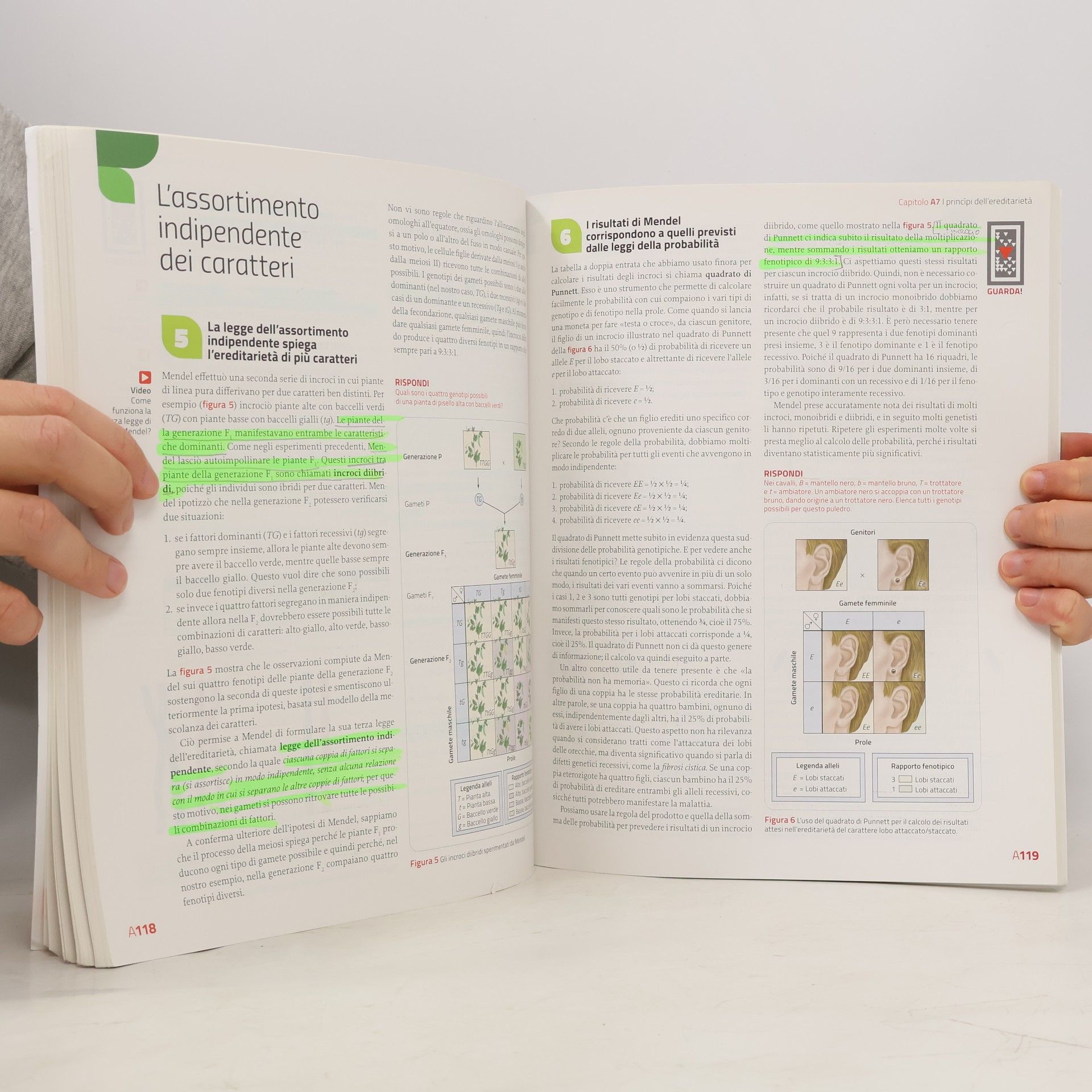 Sylvia S. Mader Immagini e concetti della biologia