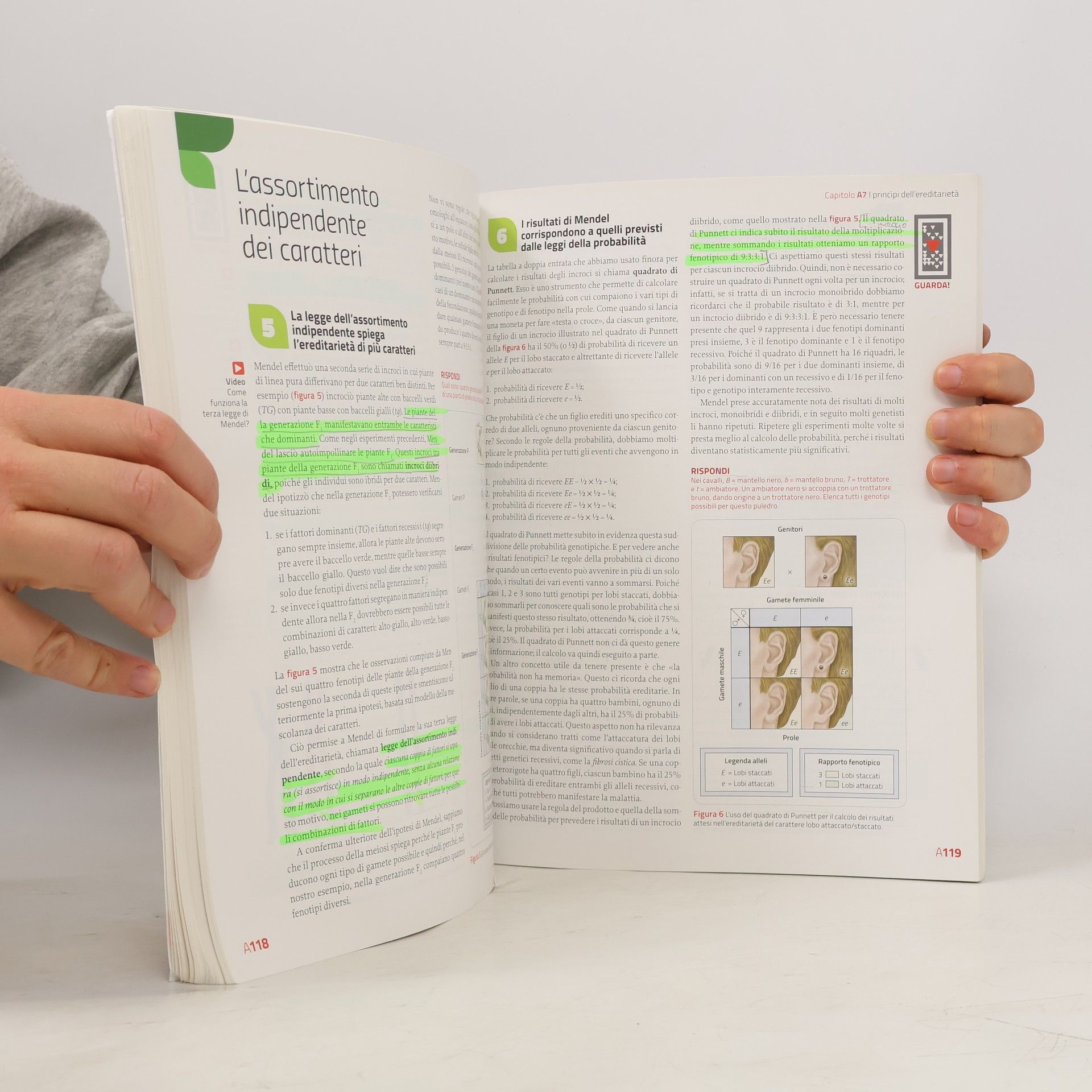 Sylvia S. Mader Immagini e concetti della biologia