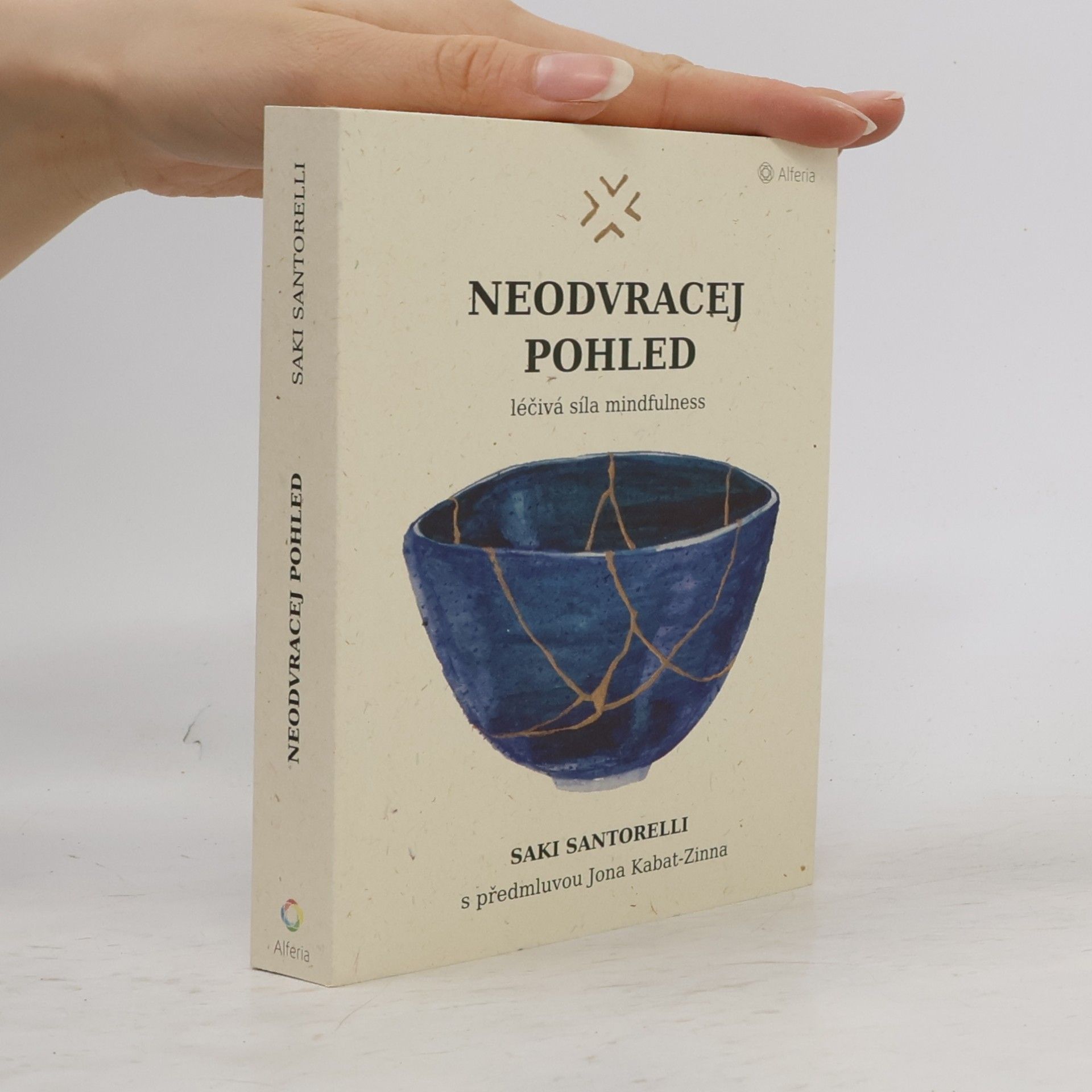 Saki Santorelli Neodvracej pohled : léčivá síla mindfulness