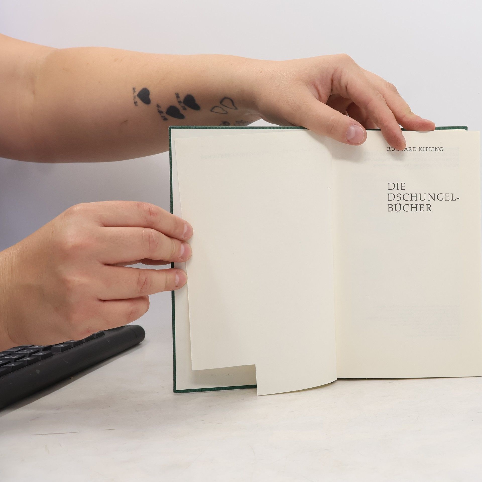 Rudyard Kipling Die Bücher