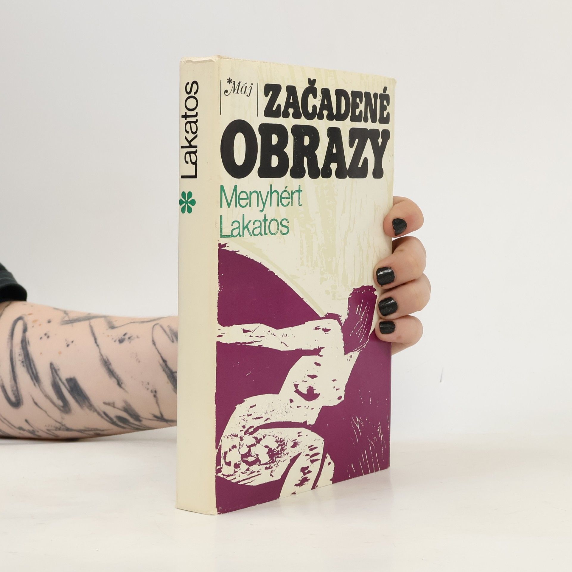 Menyhért Lakatos Začadené obrazy
