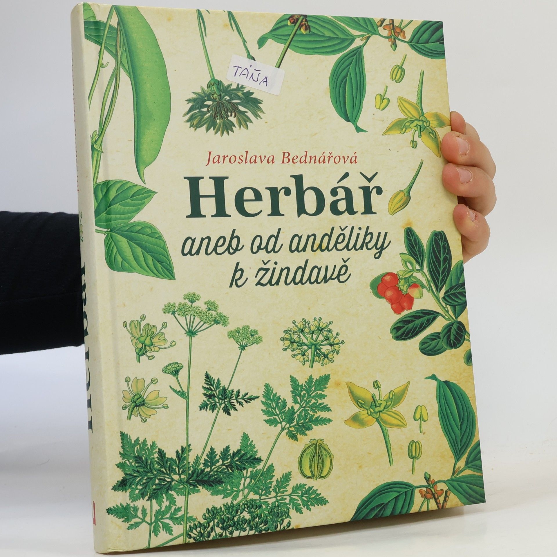 Jaroslava Bednářová Herbář, aneb, Od anděliky k žindavě