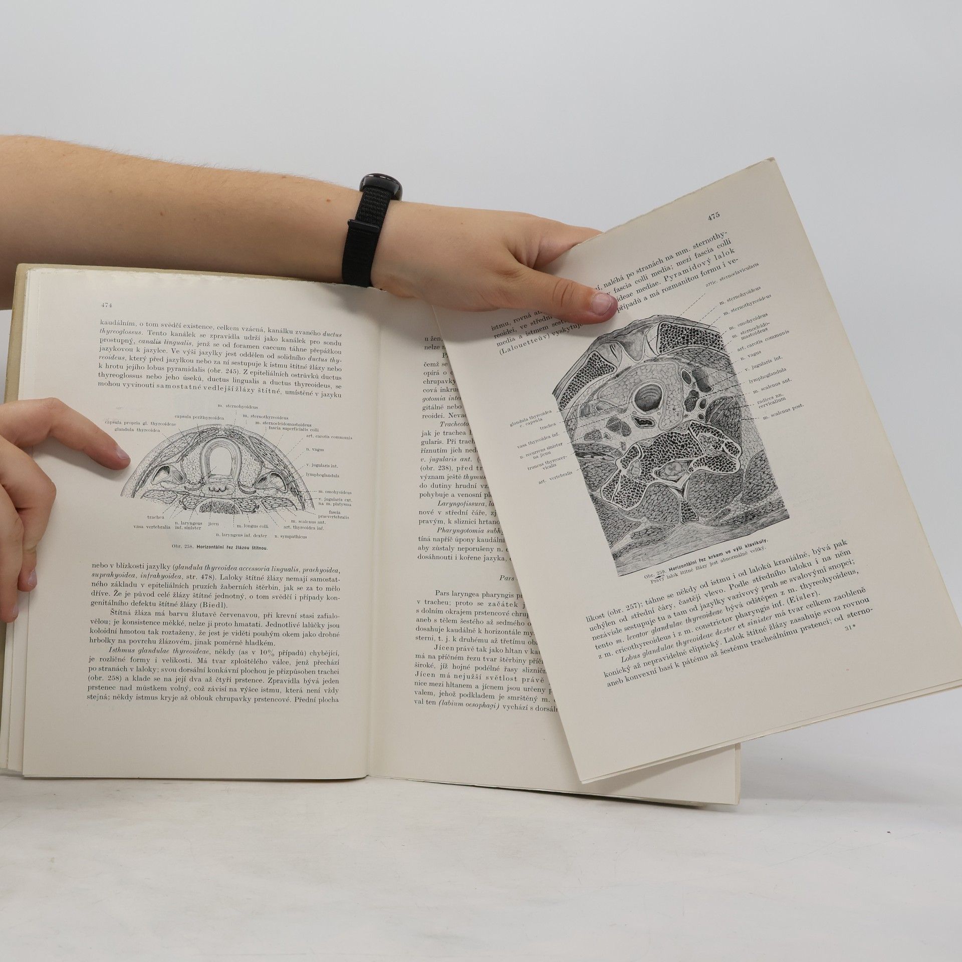 Karel Weigner Topografická anatomie II.