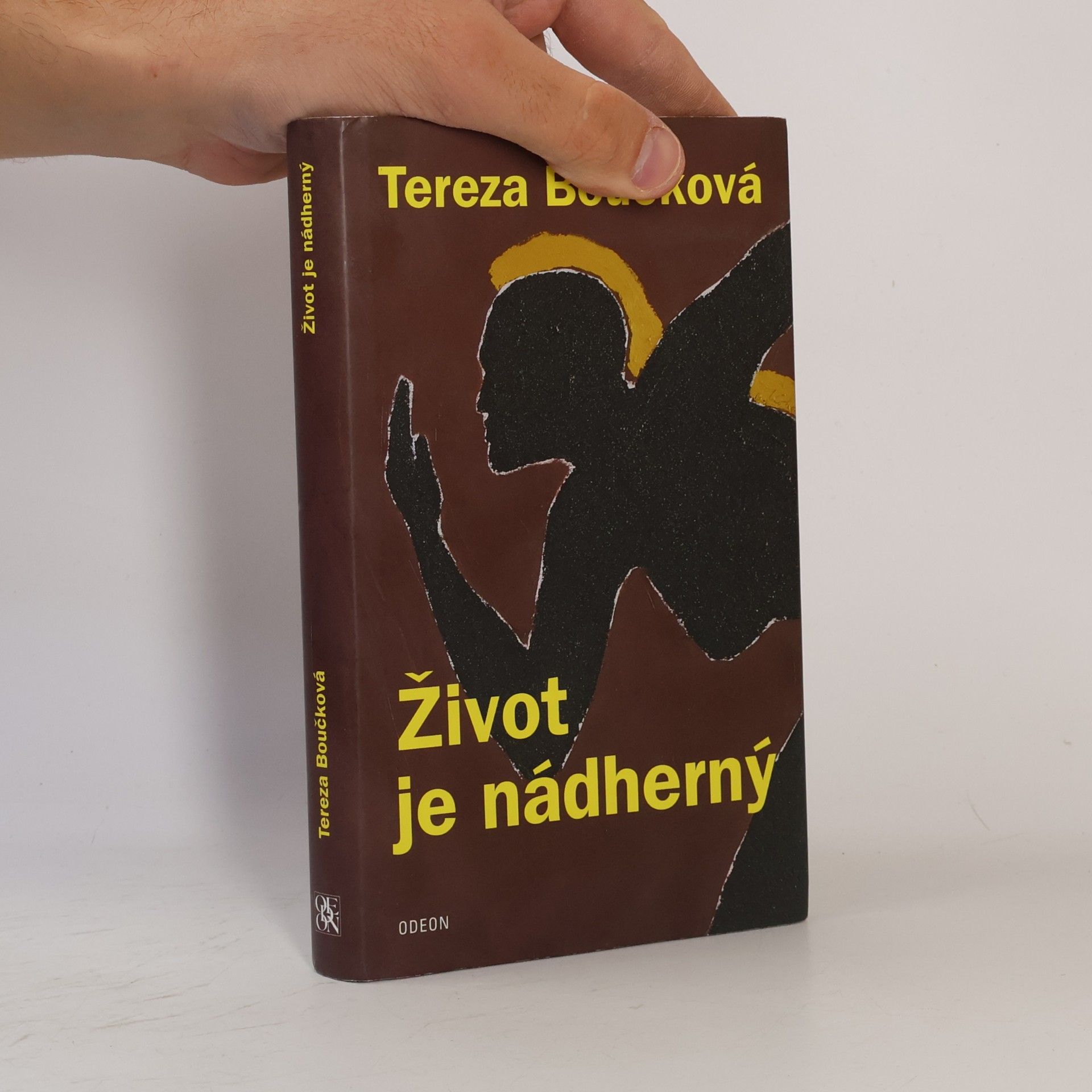 Tereza Boučková Život je nádherný