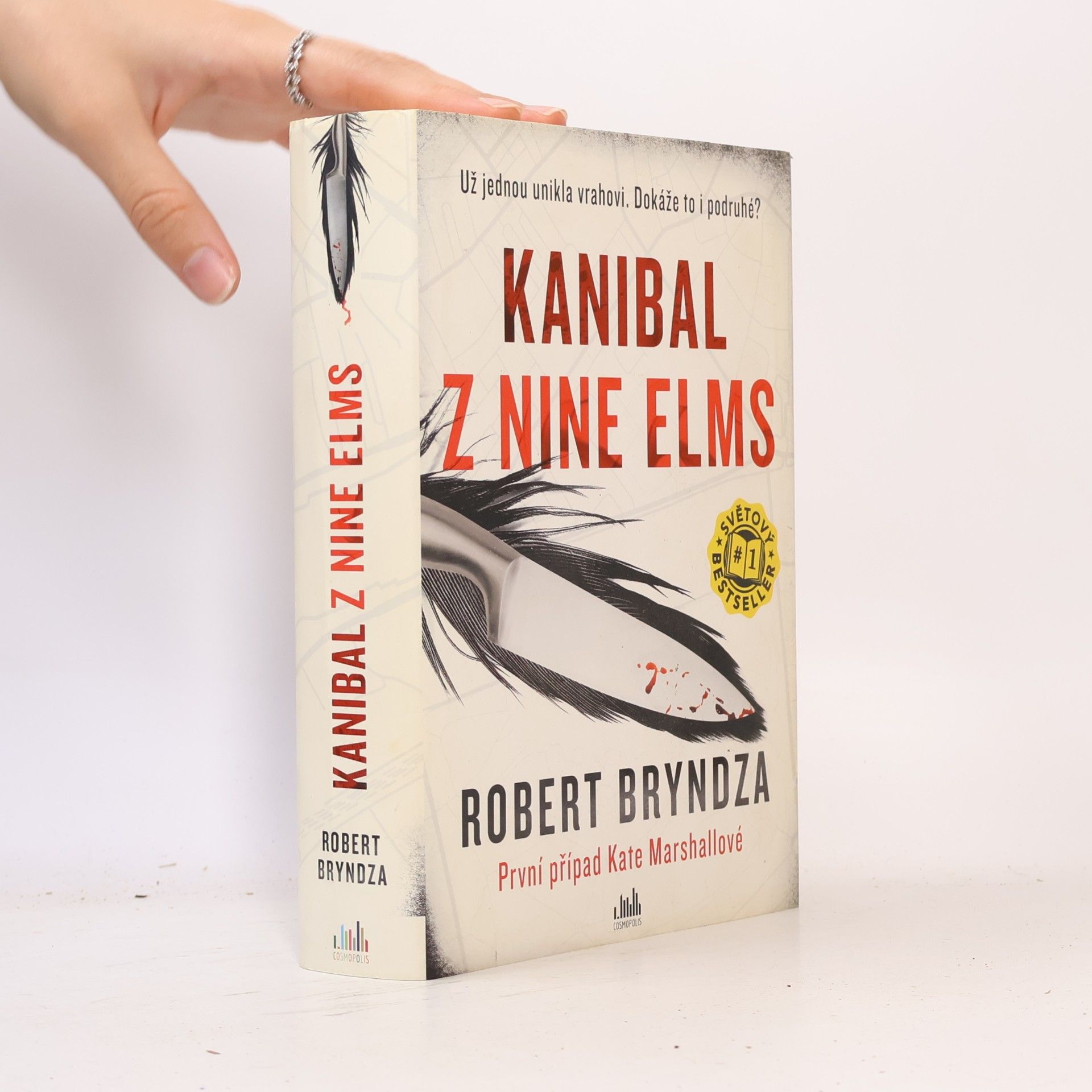 Robert Bryndza Kanibal z Nine Elms