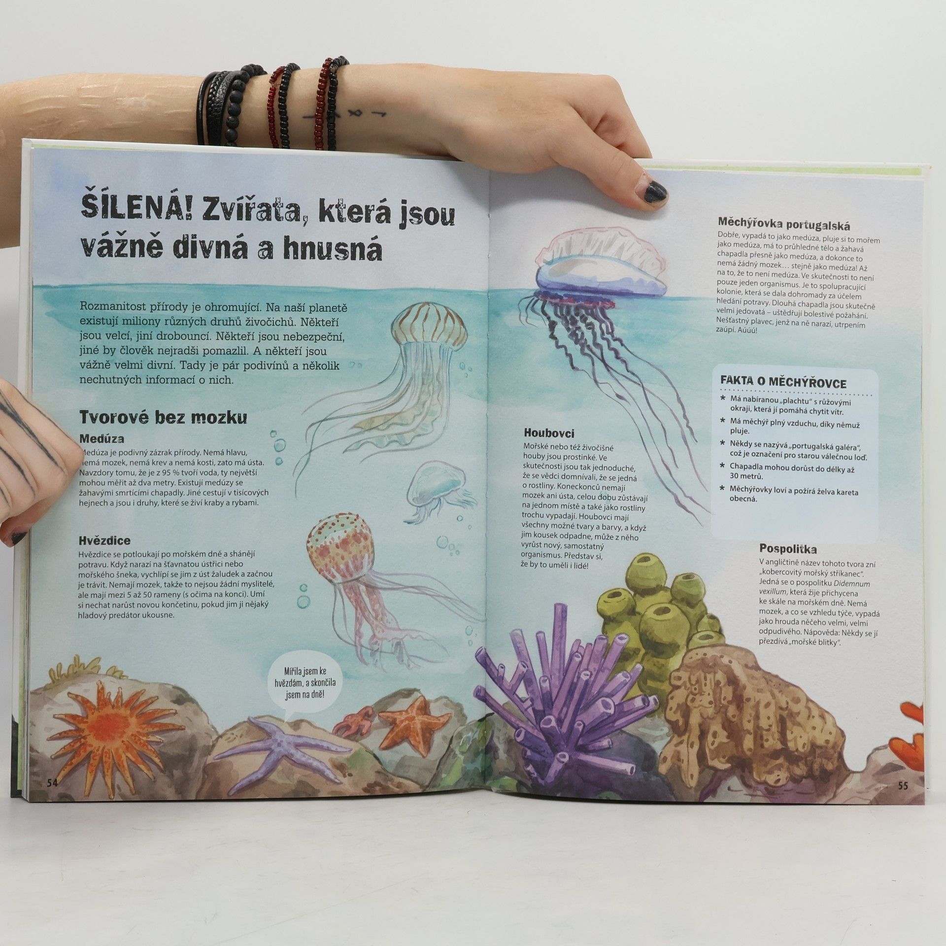 Andy Seed Fakt hustá zvířata - Poznejte nejodpornější tvory na světě