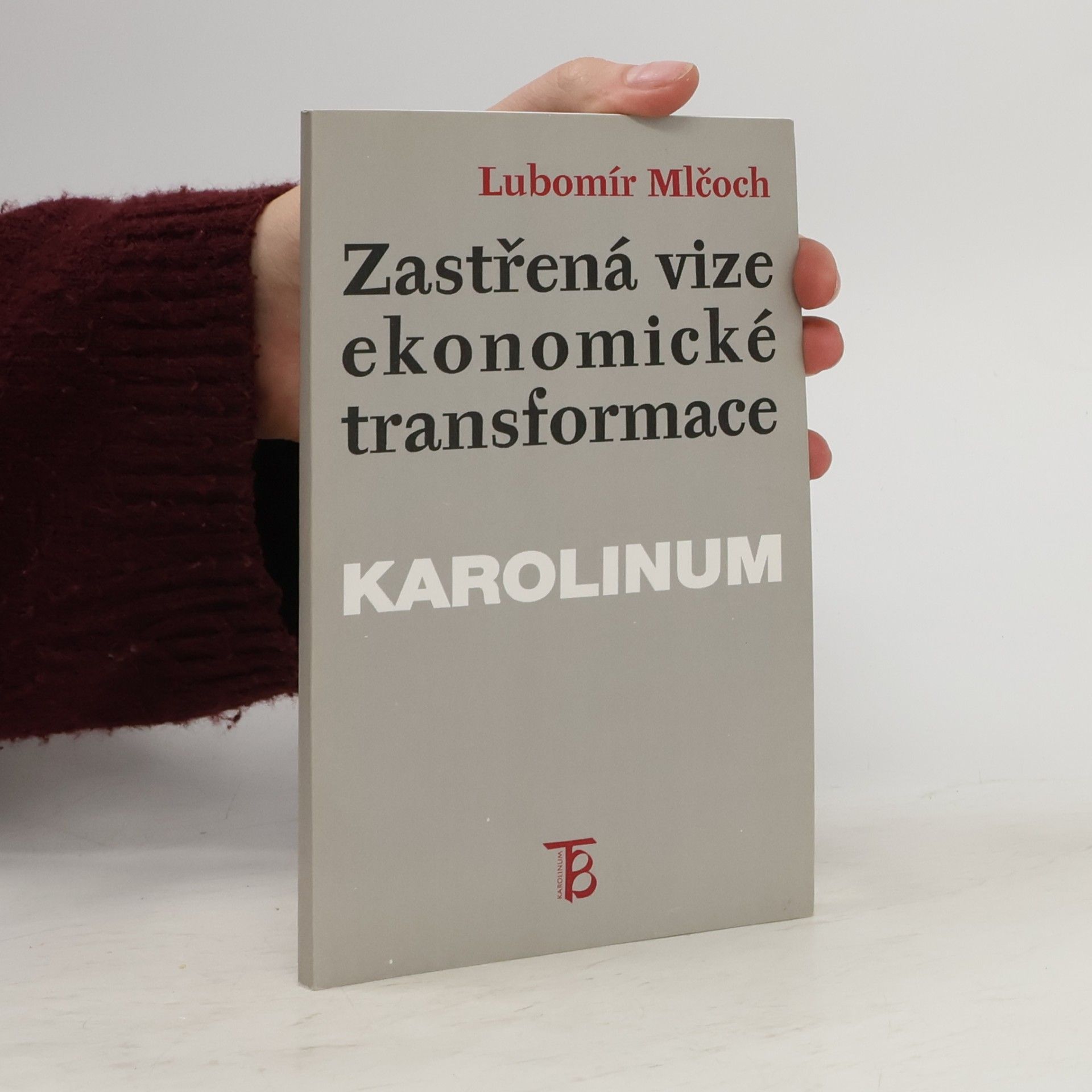 Lubomír Mlčoch Zastřená vize ekonomické transformace : česká ekonomika mezi minulostí a budoucností : (institucionální pohled)