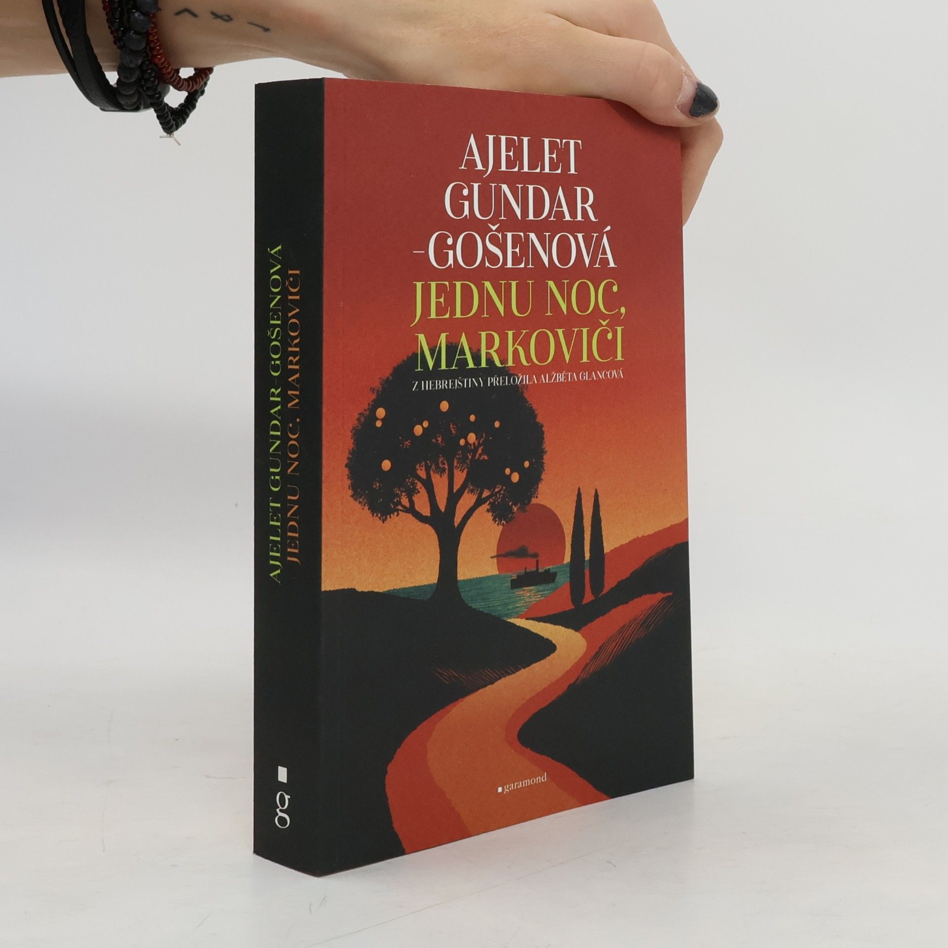 Ayelet Gundar-Goshen Jednu noc, Markoviči