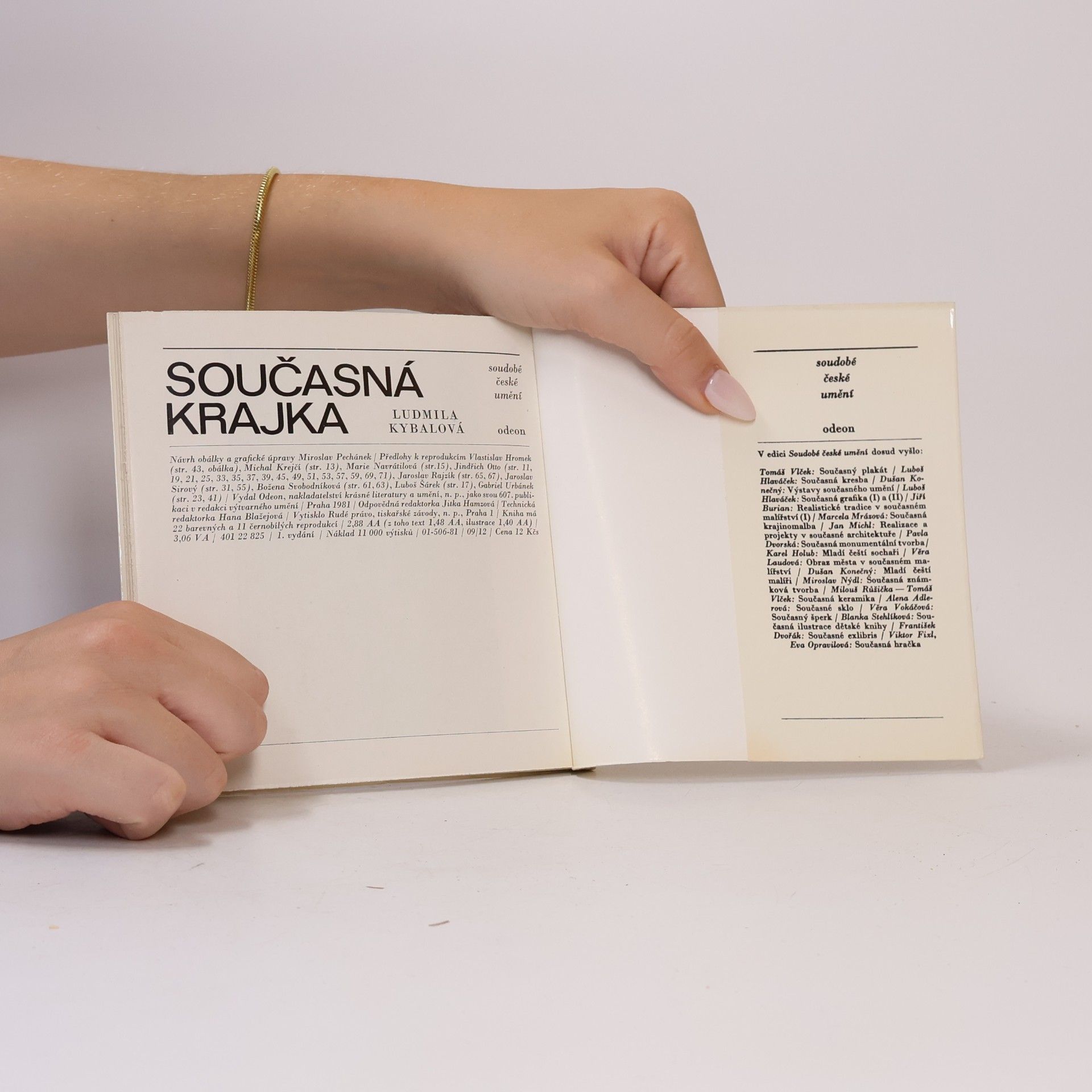 Ludmila Kybalová Současná krajka