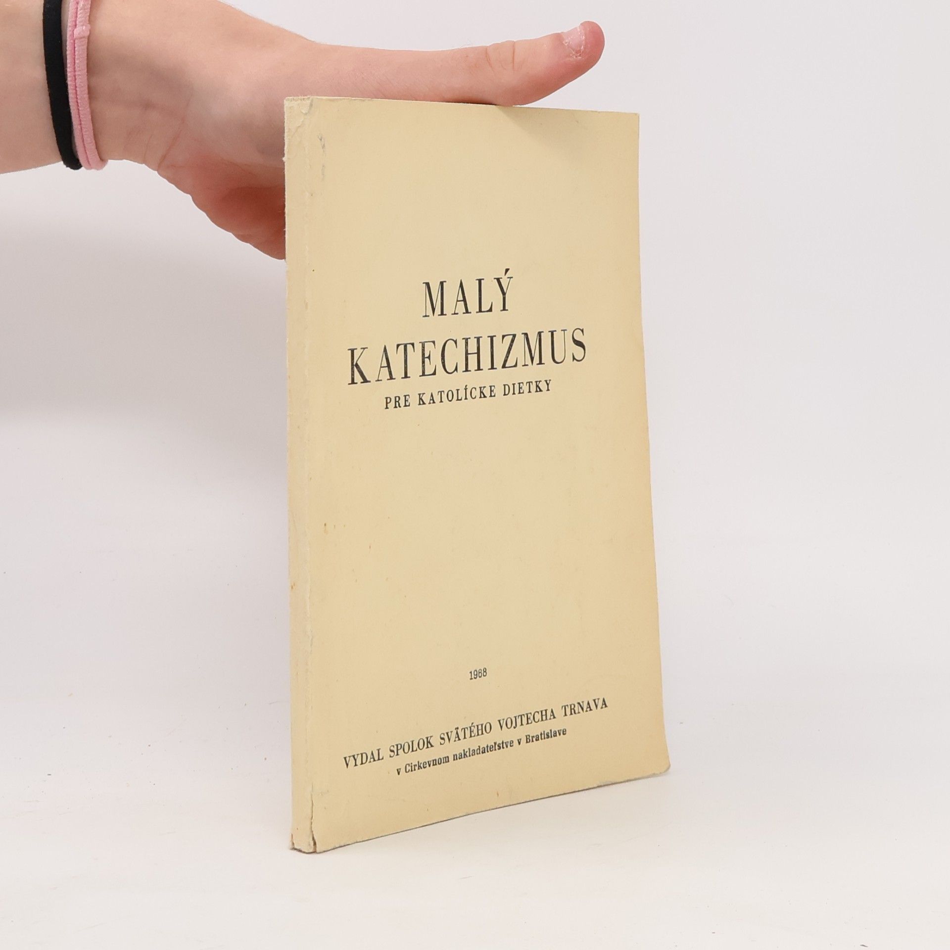Autorenkollektiv Malý katechizmus pre katolícke dietky