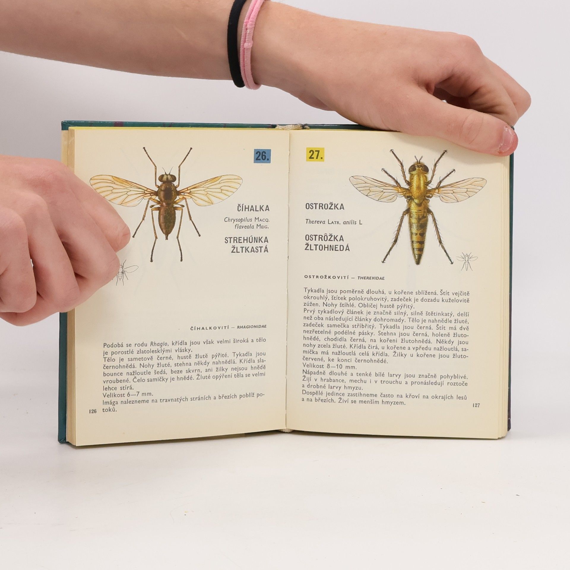 Vladimír Javorek Kapesní atlas dvoukřídlého hmyzu