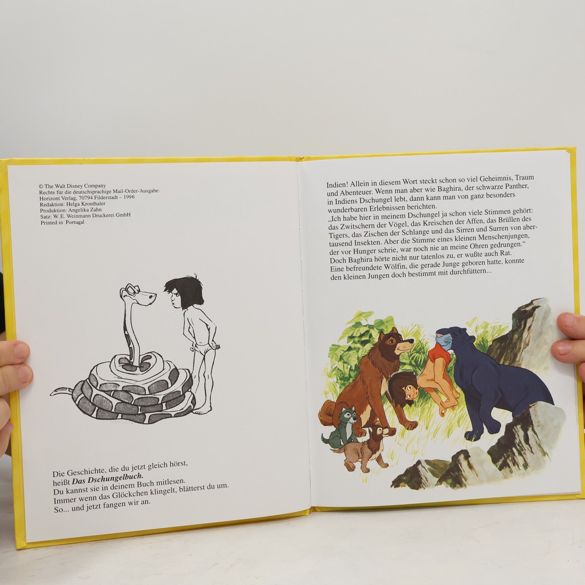 Walt Disney Das Dschungelbuch