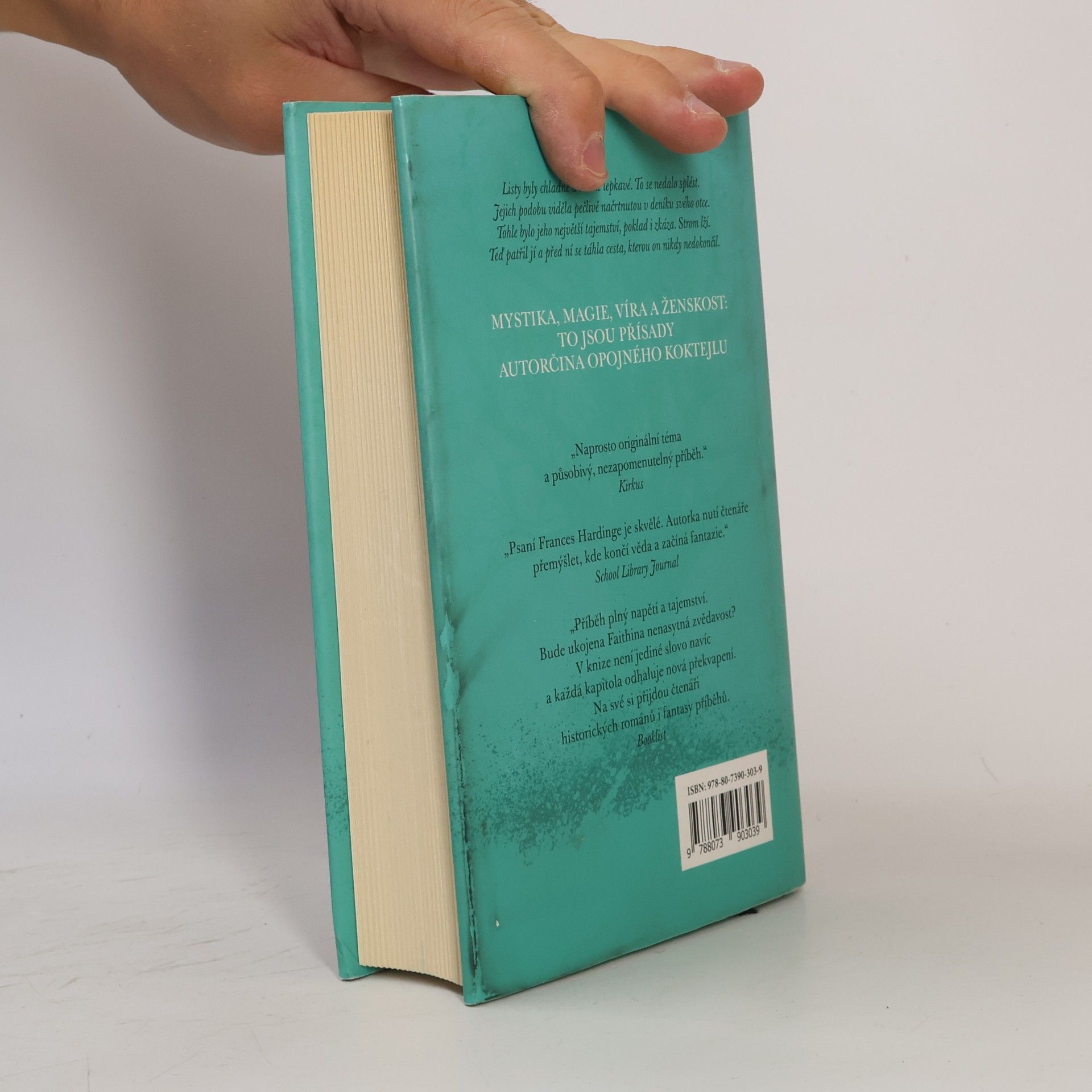 Frances Hardinge Strom lží