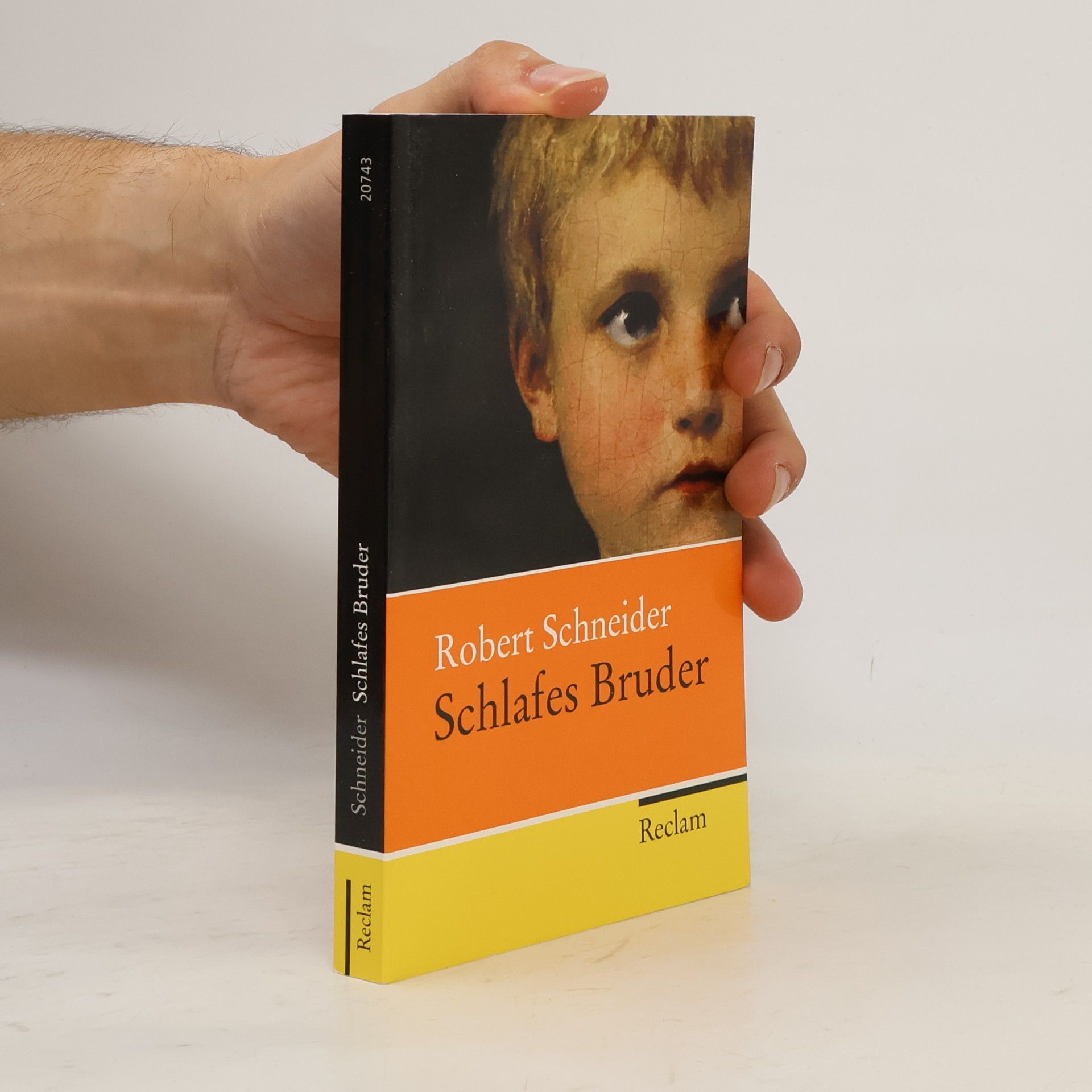 Robert Schneider Schlafes Bruder