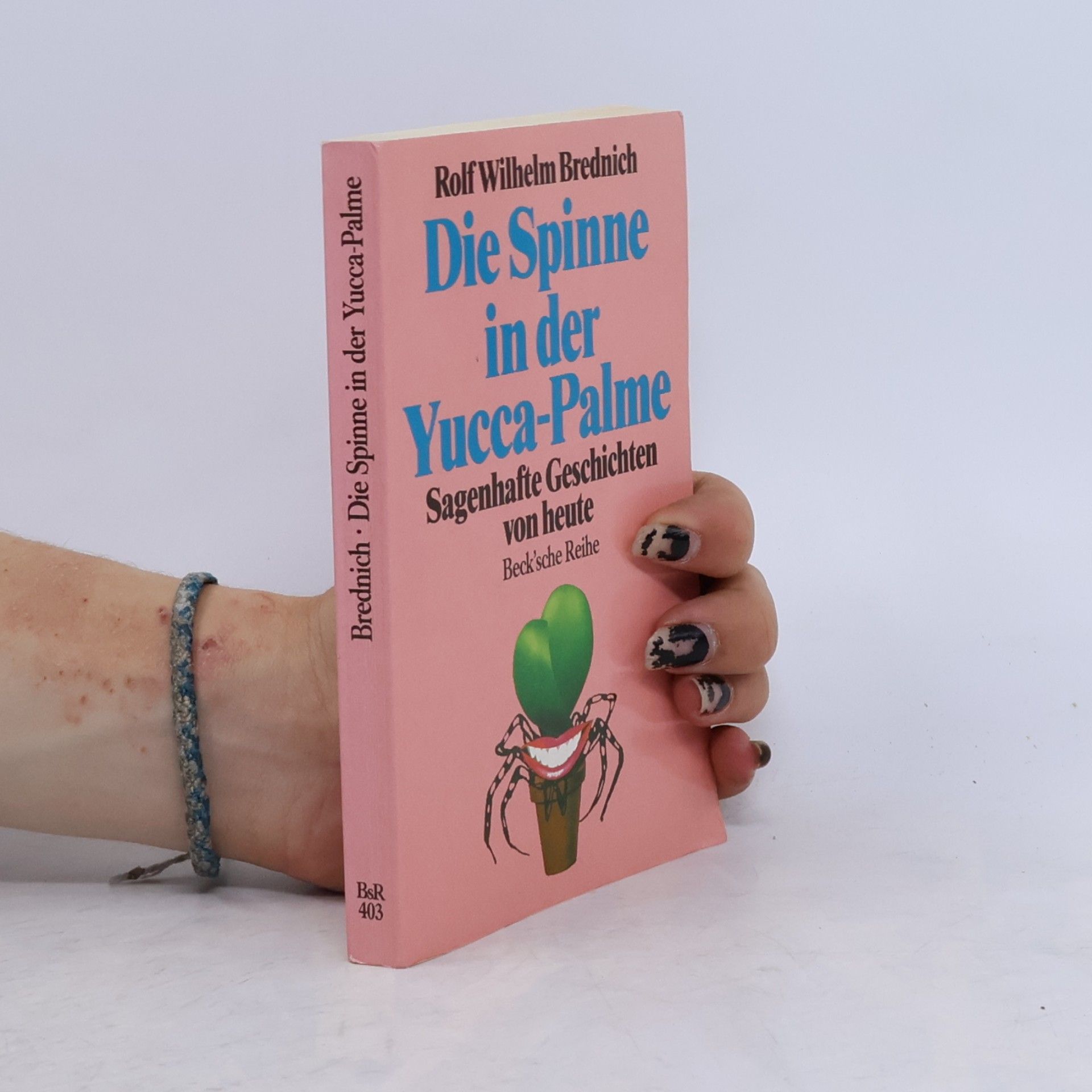 Rolf Wilhelm Brednich Die Spinne in der Yucca-Palme