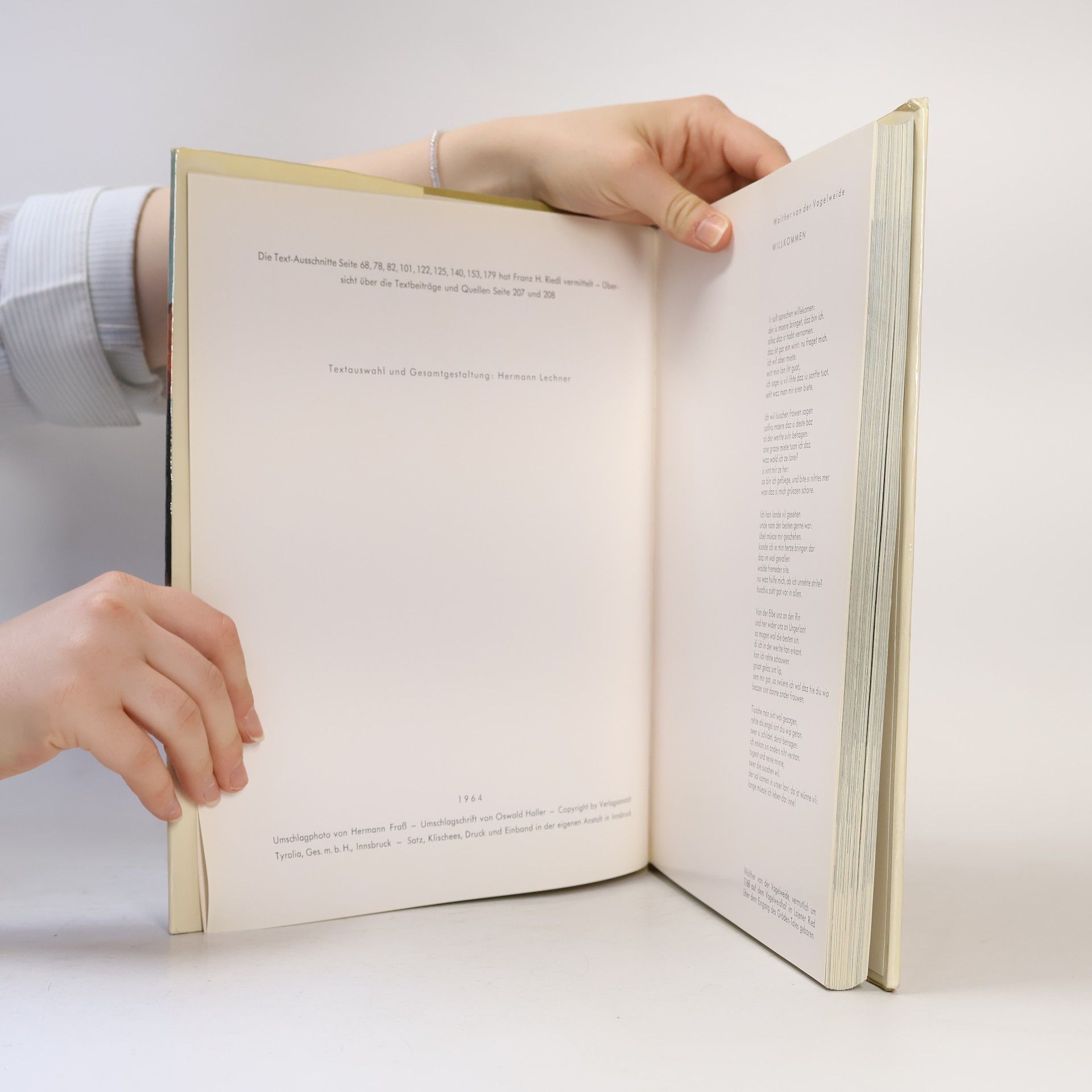 Autores varios Südtirol in Farben
