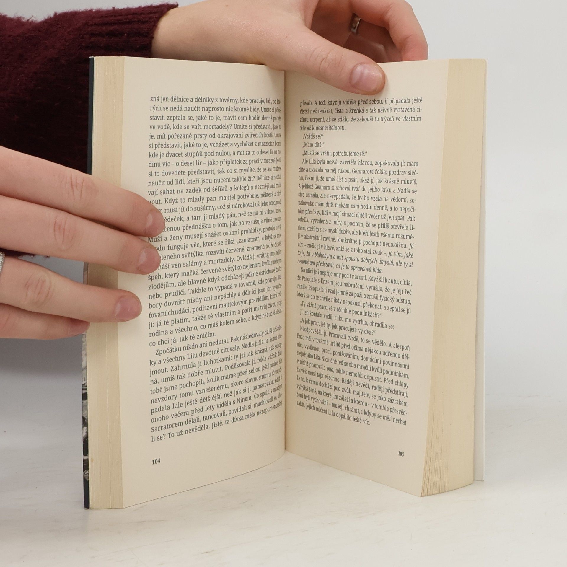 Elena Ferrante Geniální přítelkyně 3. Příběh těch, co odcházejí, a těch, kteří zůstanou