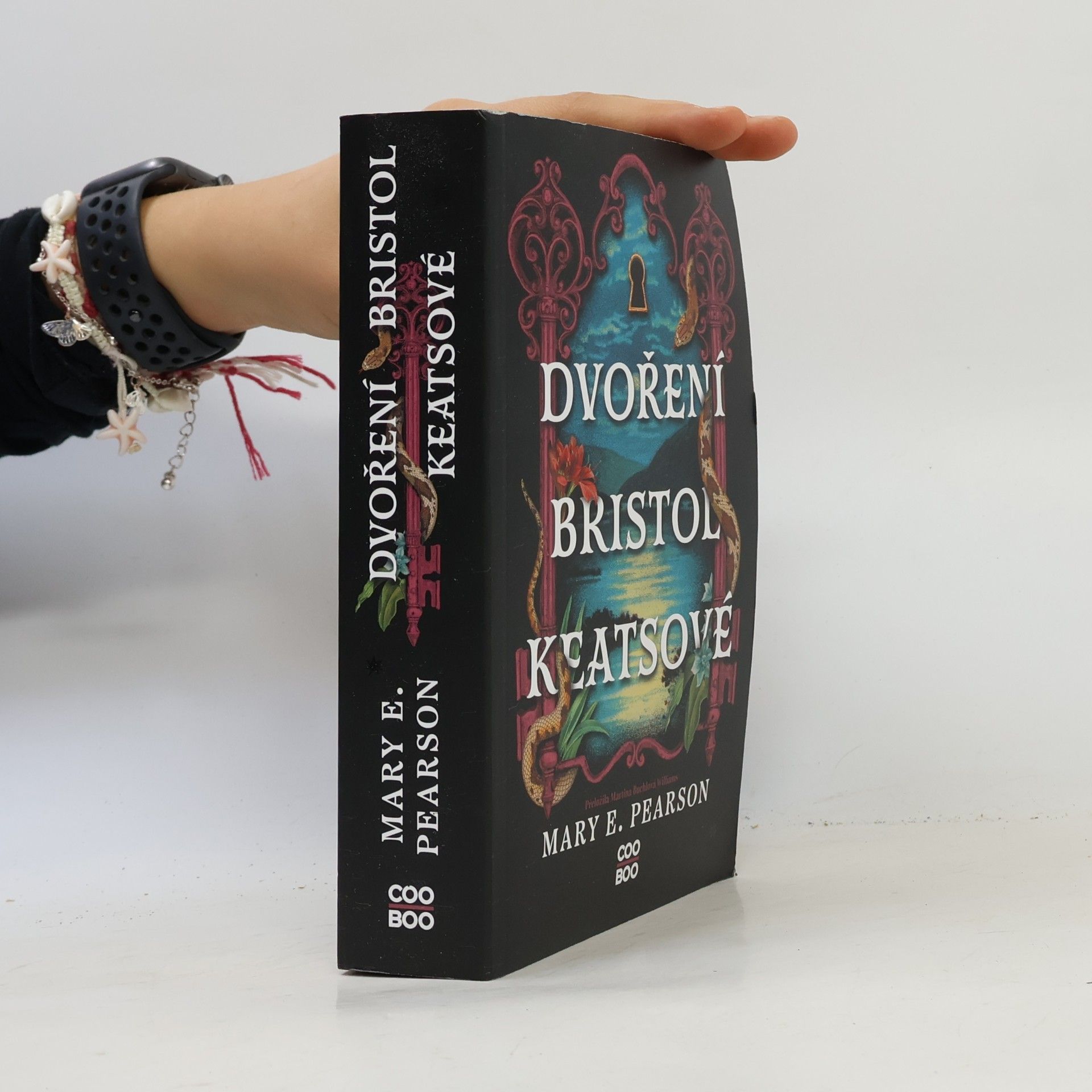 Mary E. Pearson Dvoření Bristol Keatsové