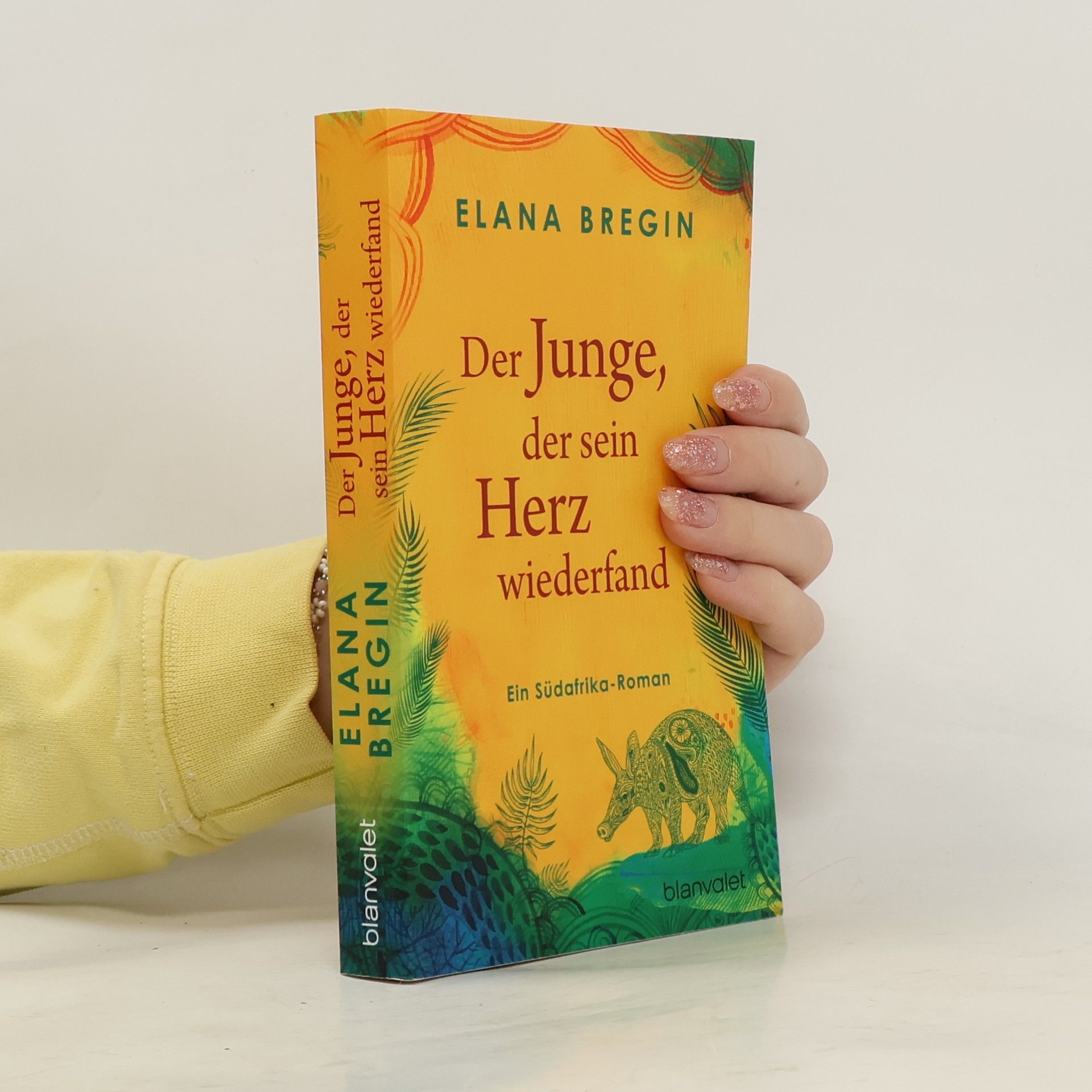 Elena Bregin Der Junge, der sein Herz wiederfand