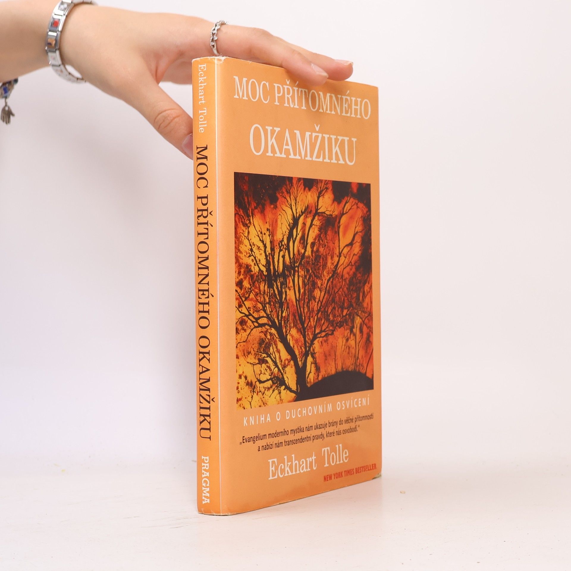 Eckhart Tolle Moc přítomného okamžiku