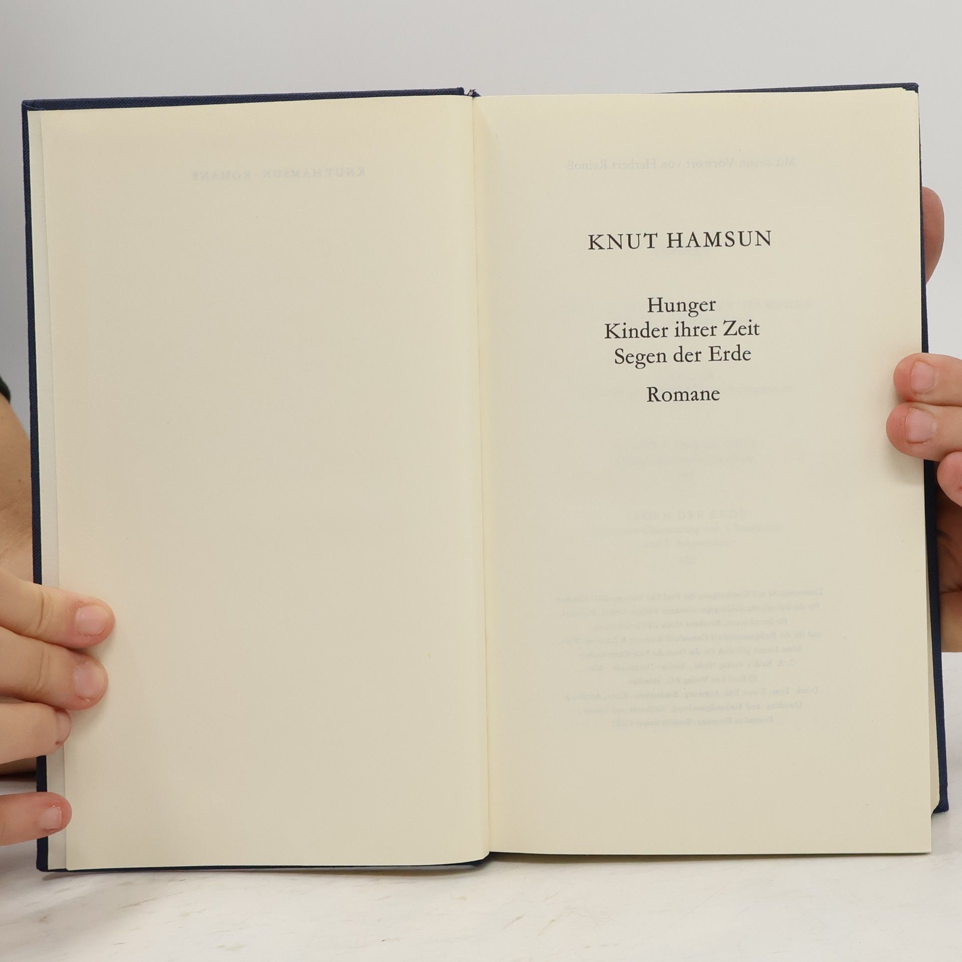 Knut Hamsun Romane I: Hunger, Kinder ihrer Zeit, Segen der Erde