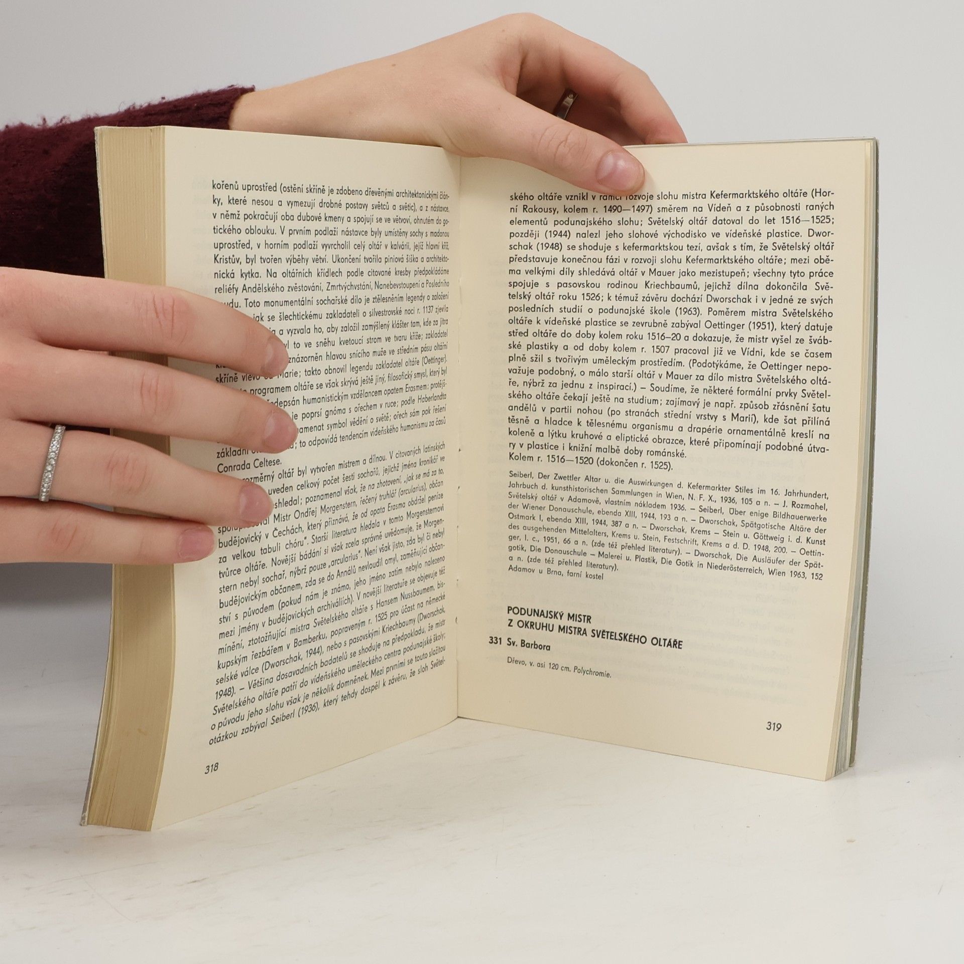 Kolektiv autorů Jihočeská pozdní gotika 1450-1530