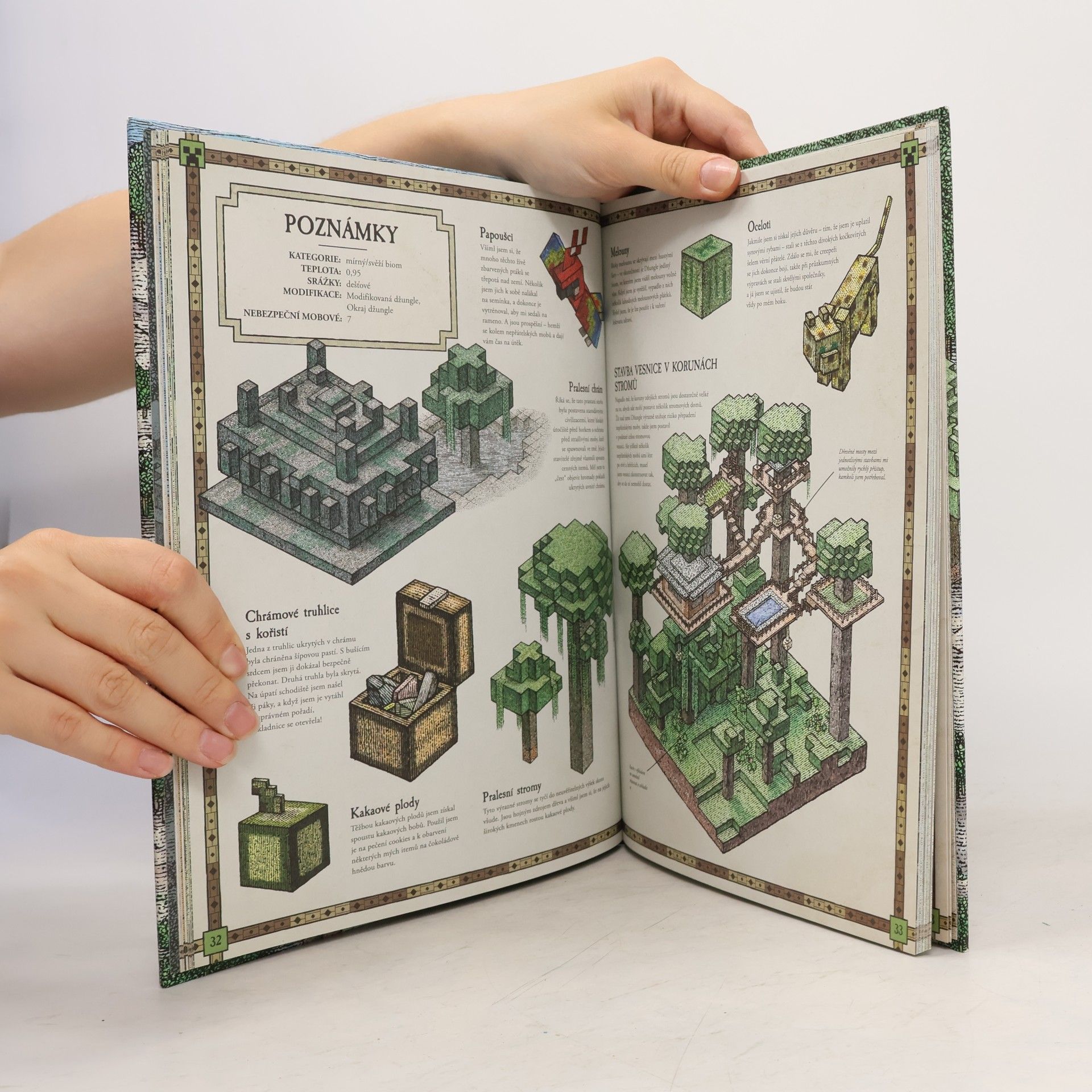 Stephanie Milton Minecraft atlas